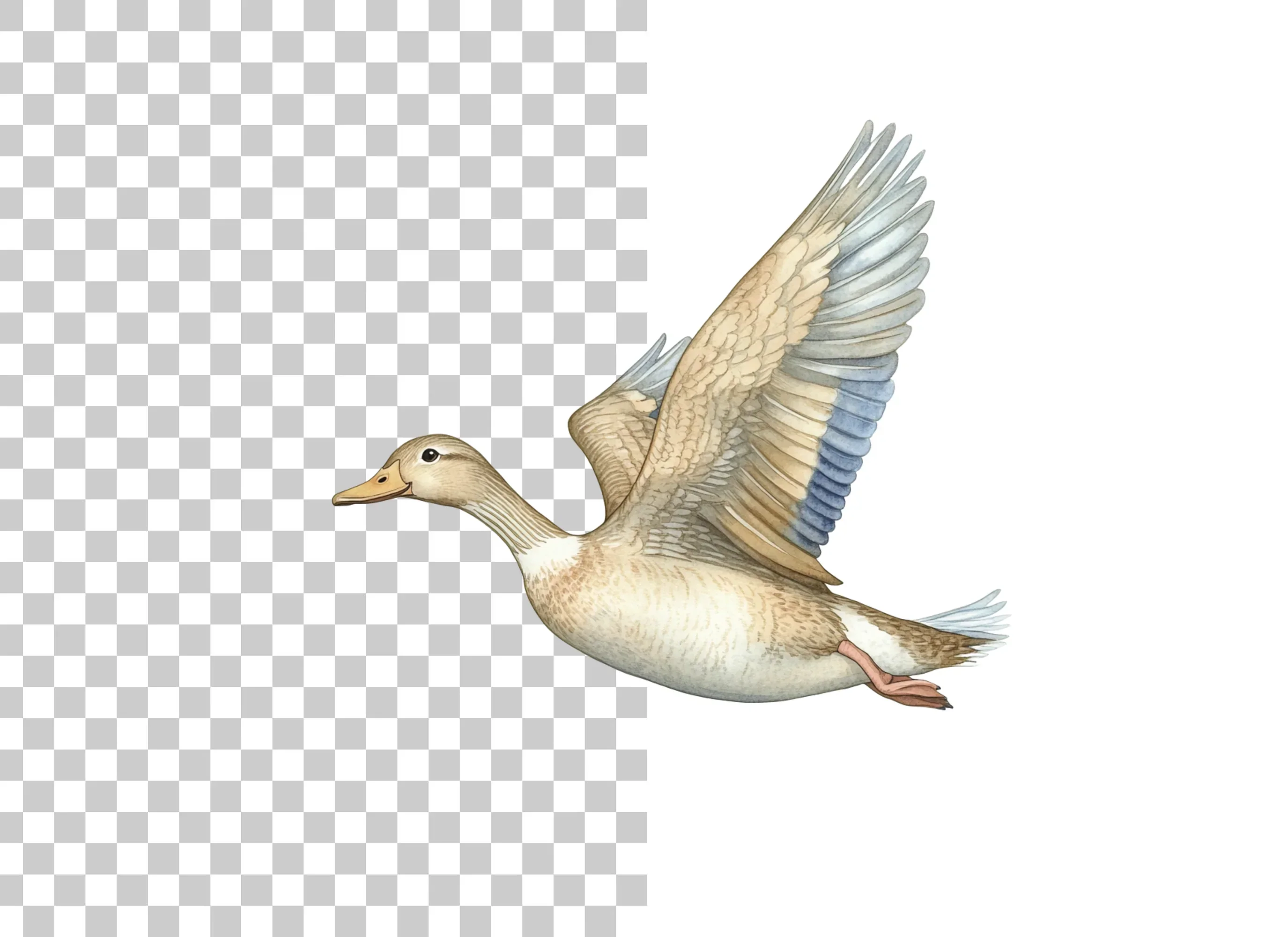 Flying White Ducks Clipart Bundle - Image 6