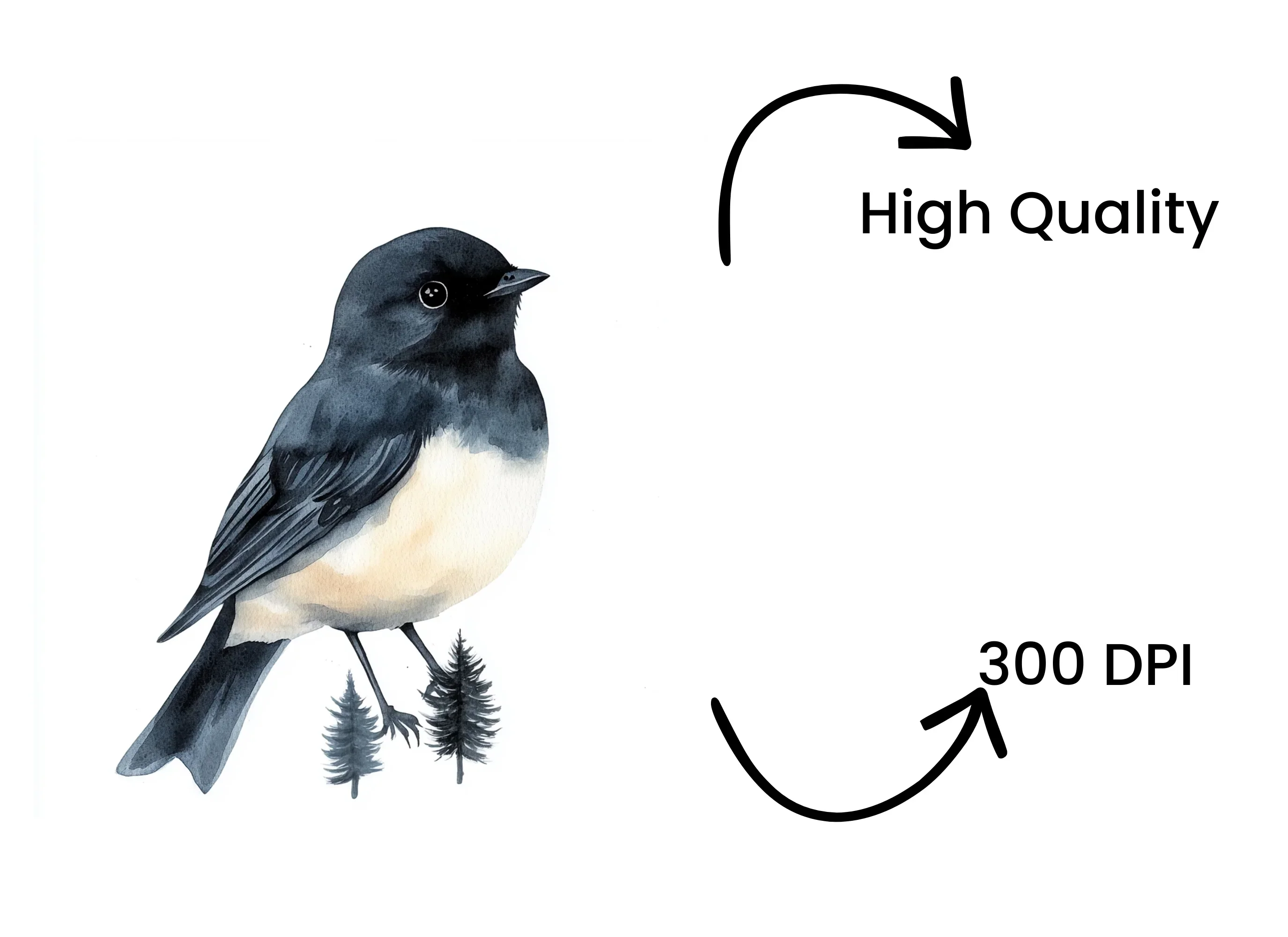 Forest Bird Clipart Bundle - Image 4