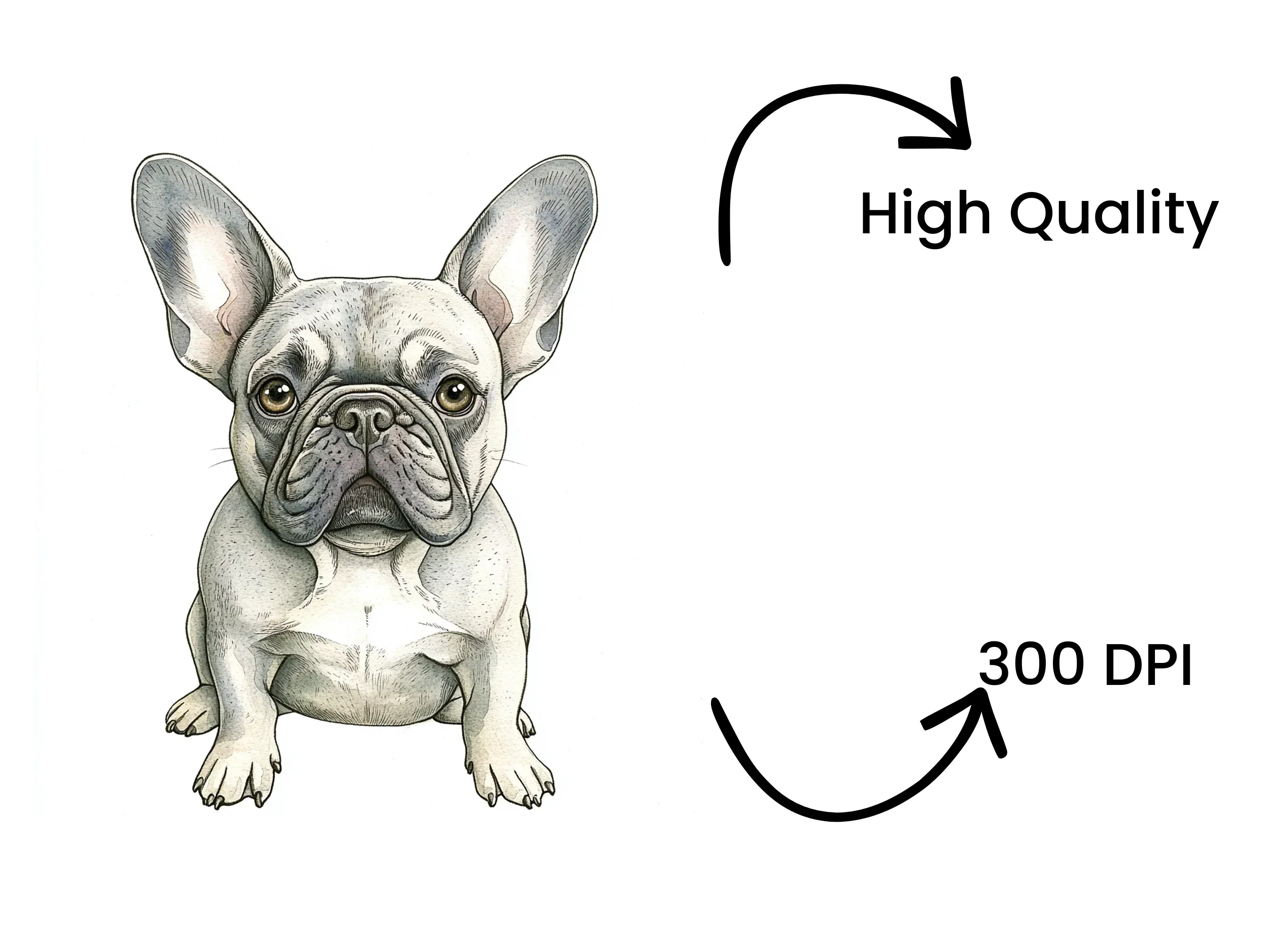 French Bulldog Puppies Clipart Bundle - Image 4