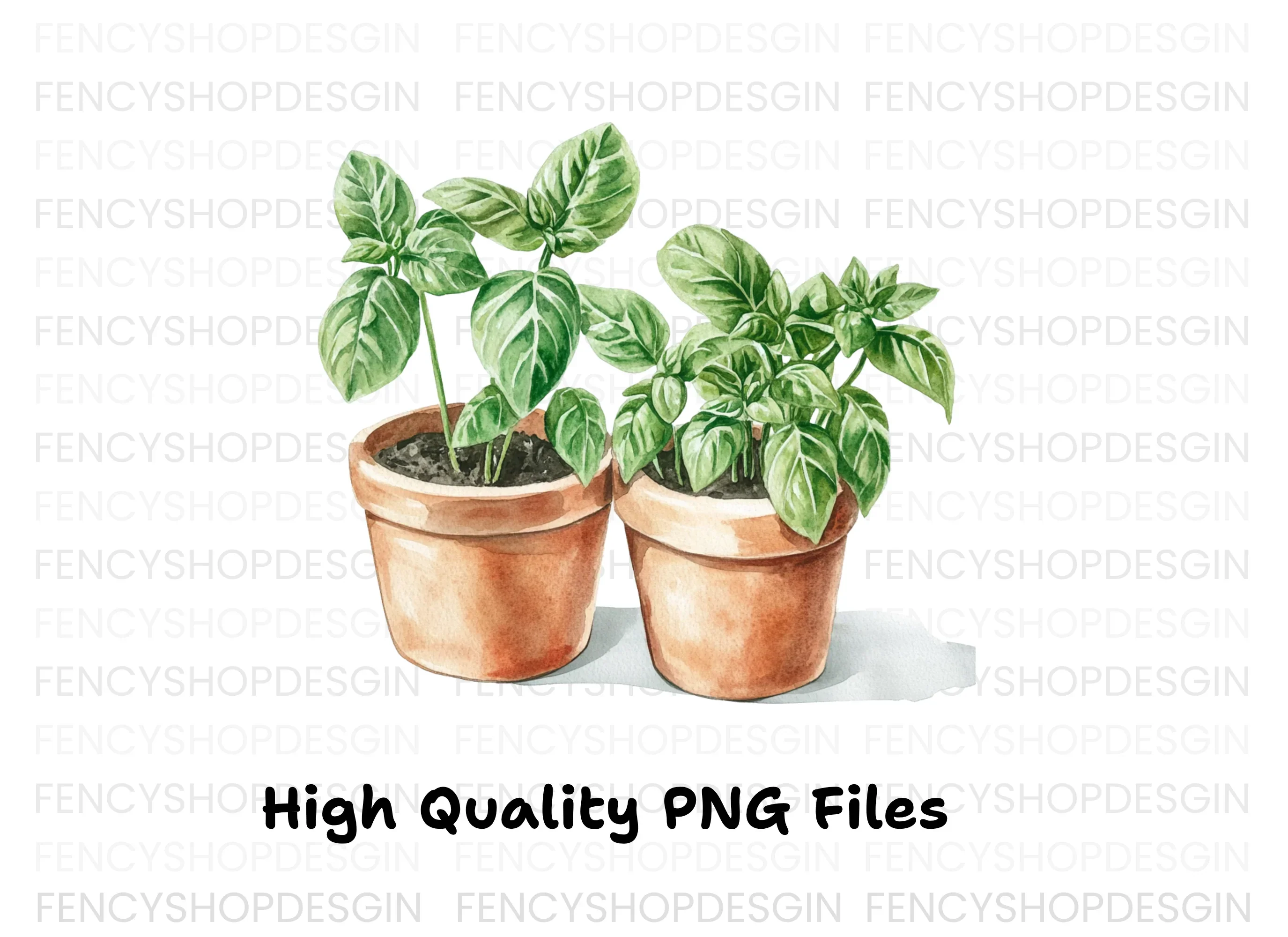 Fresh Basil Plants in Terracotta Pots Clipart Bundle - Image 3