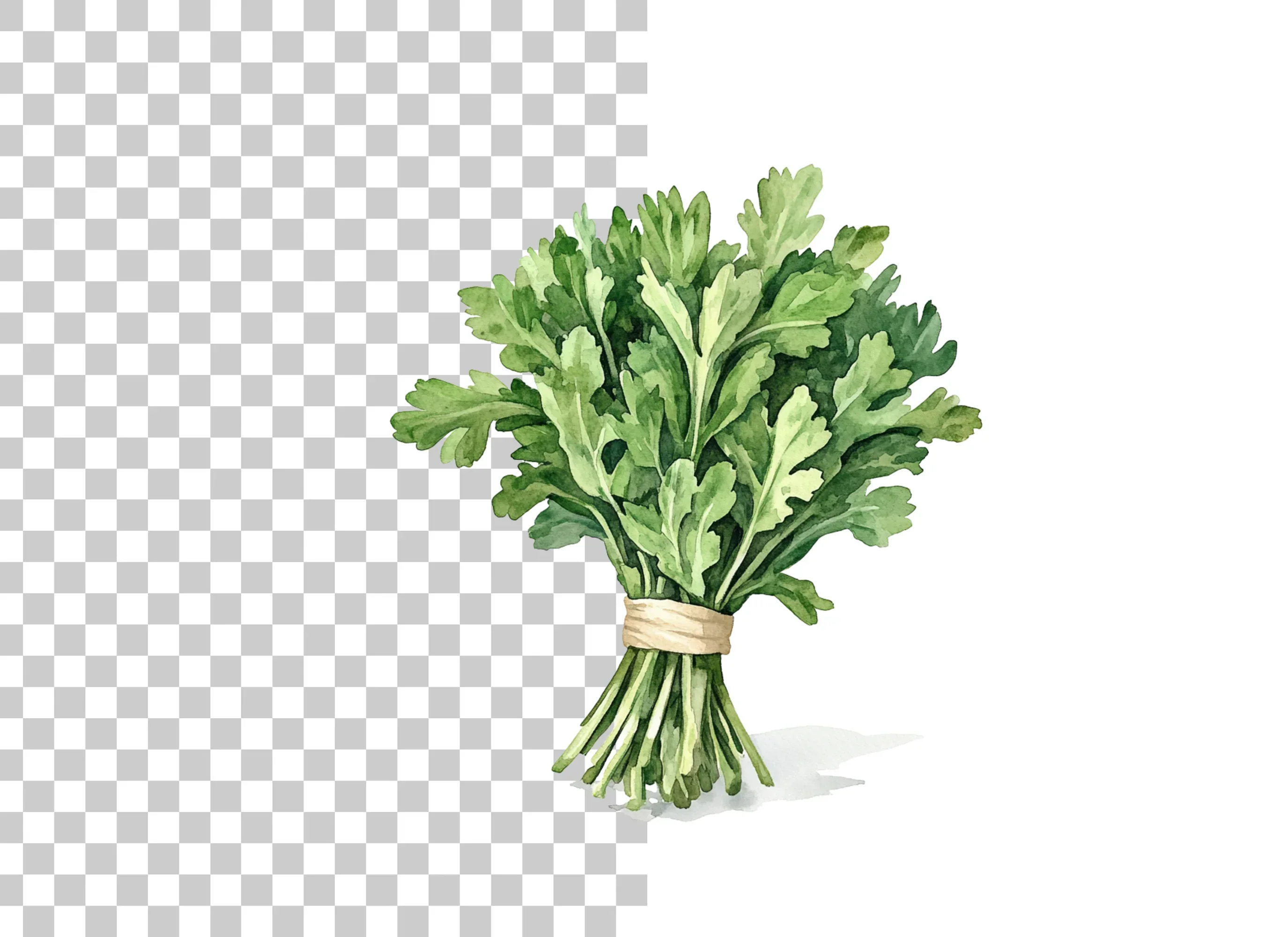 Fresh Greens Clipart Bundle - Image 2