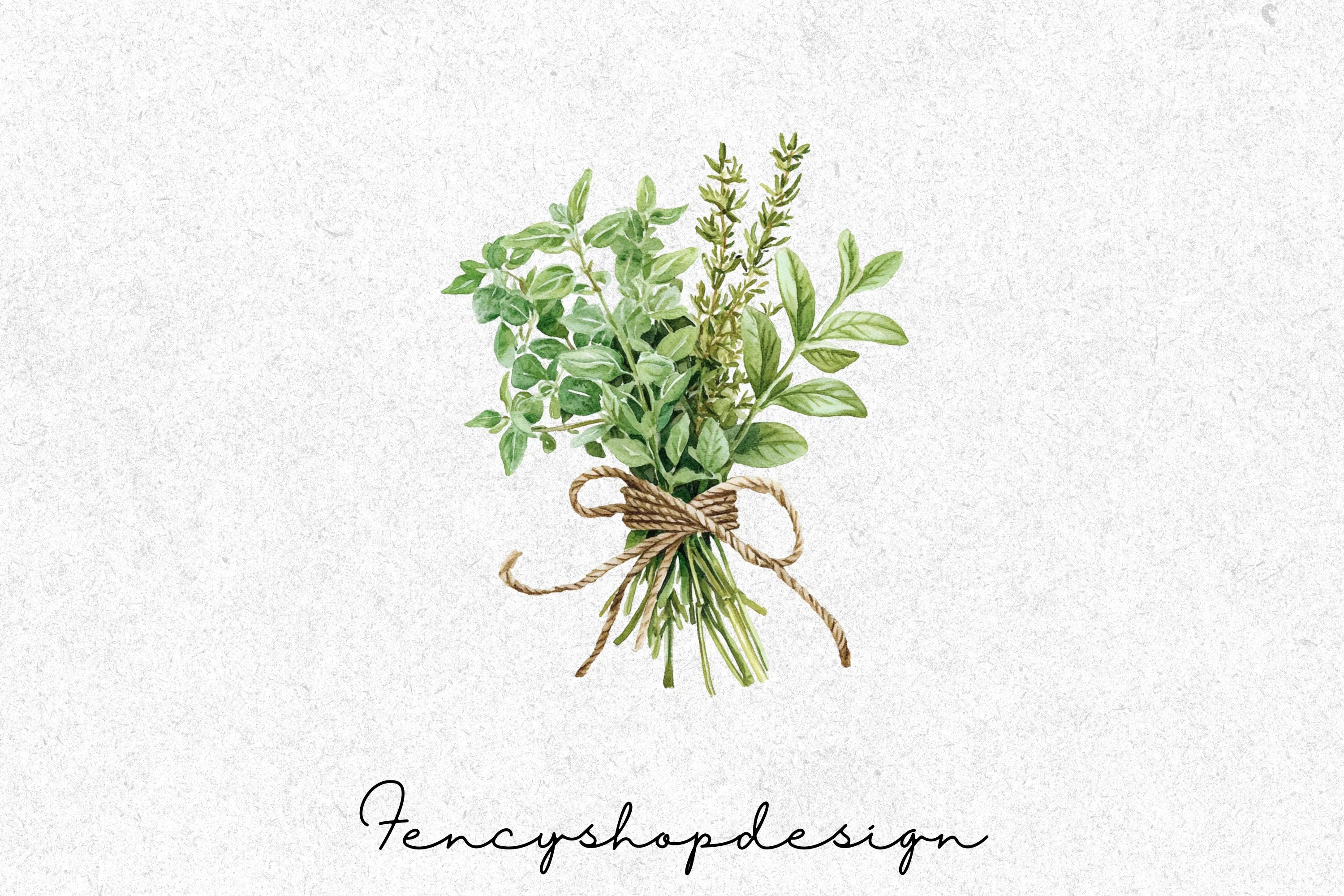 Fresh Herb Bouquets Clipart Bundle - Image 3