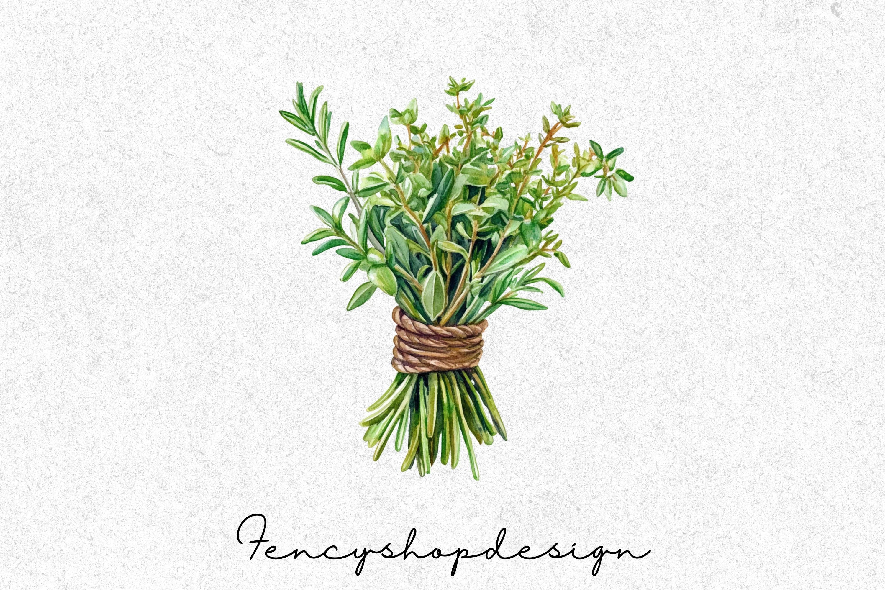 Fresh Herb Bouquets Clipart Bundle - Image 4