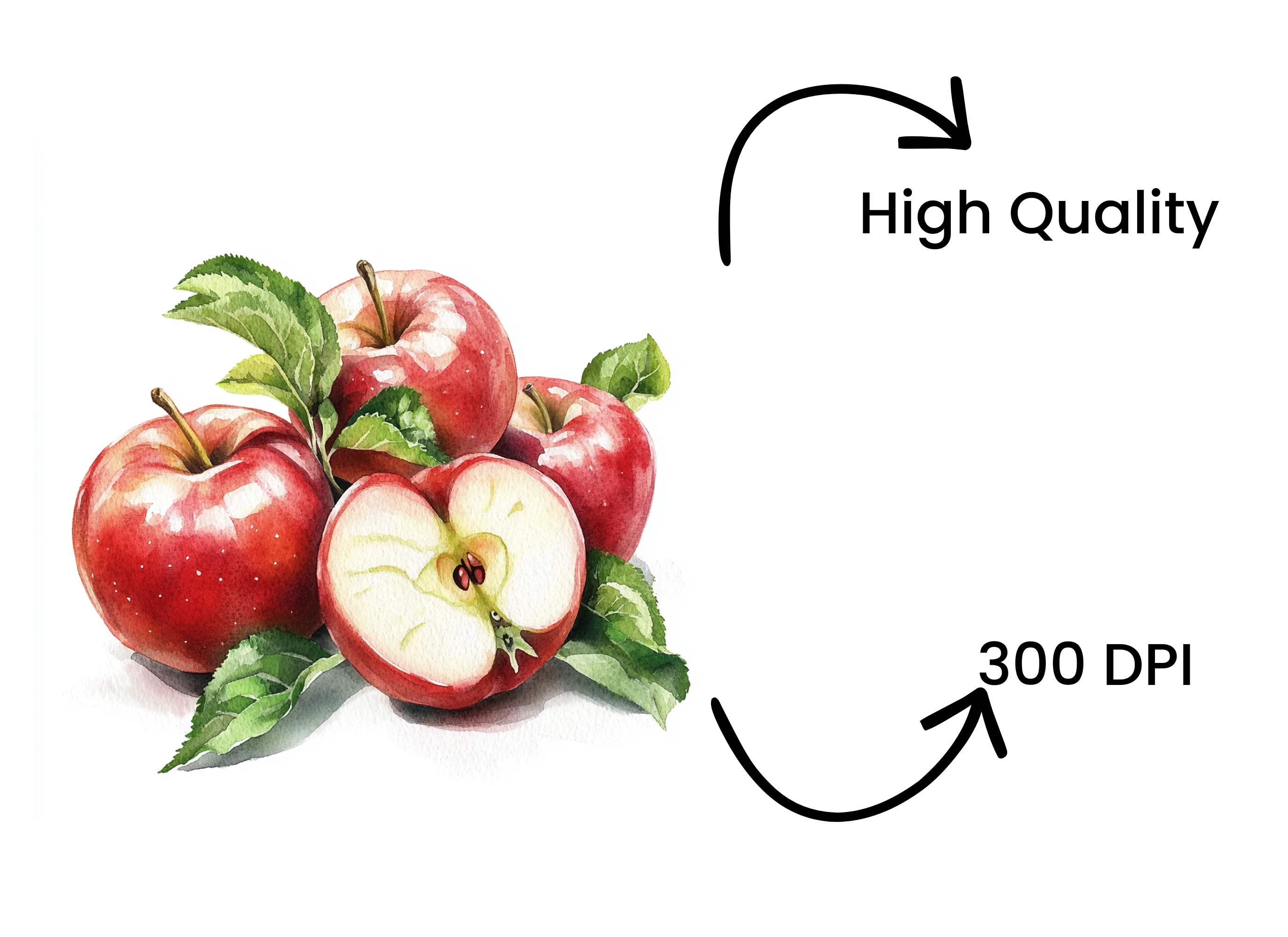 Fresh Red Apples Clipart Bundle - Image 4