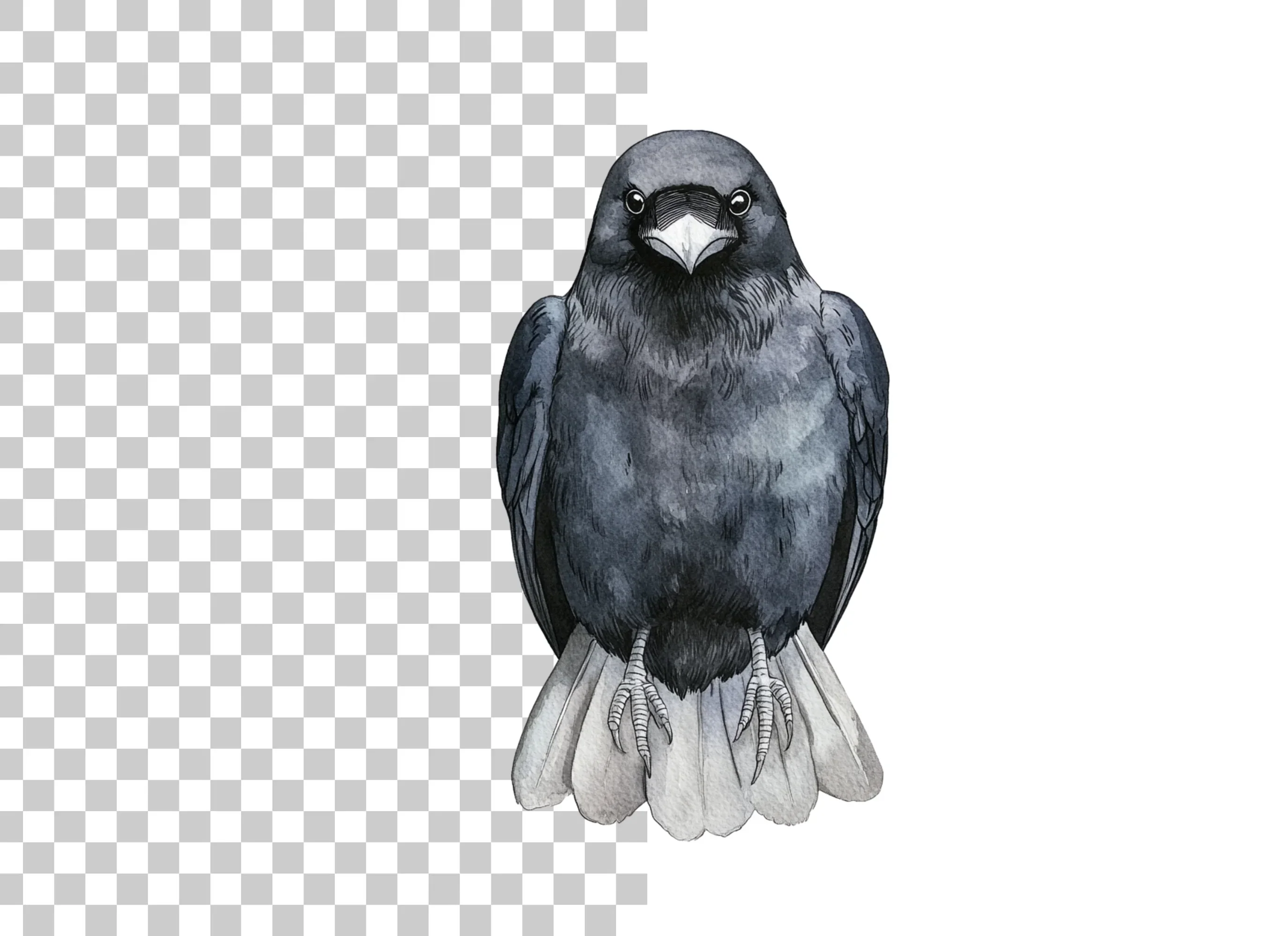 Front Facing Crow Clipart Bundle - Image 2