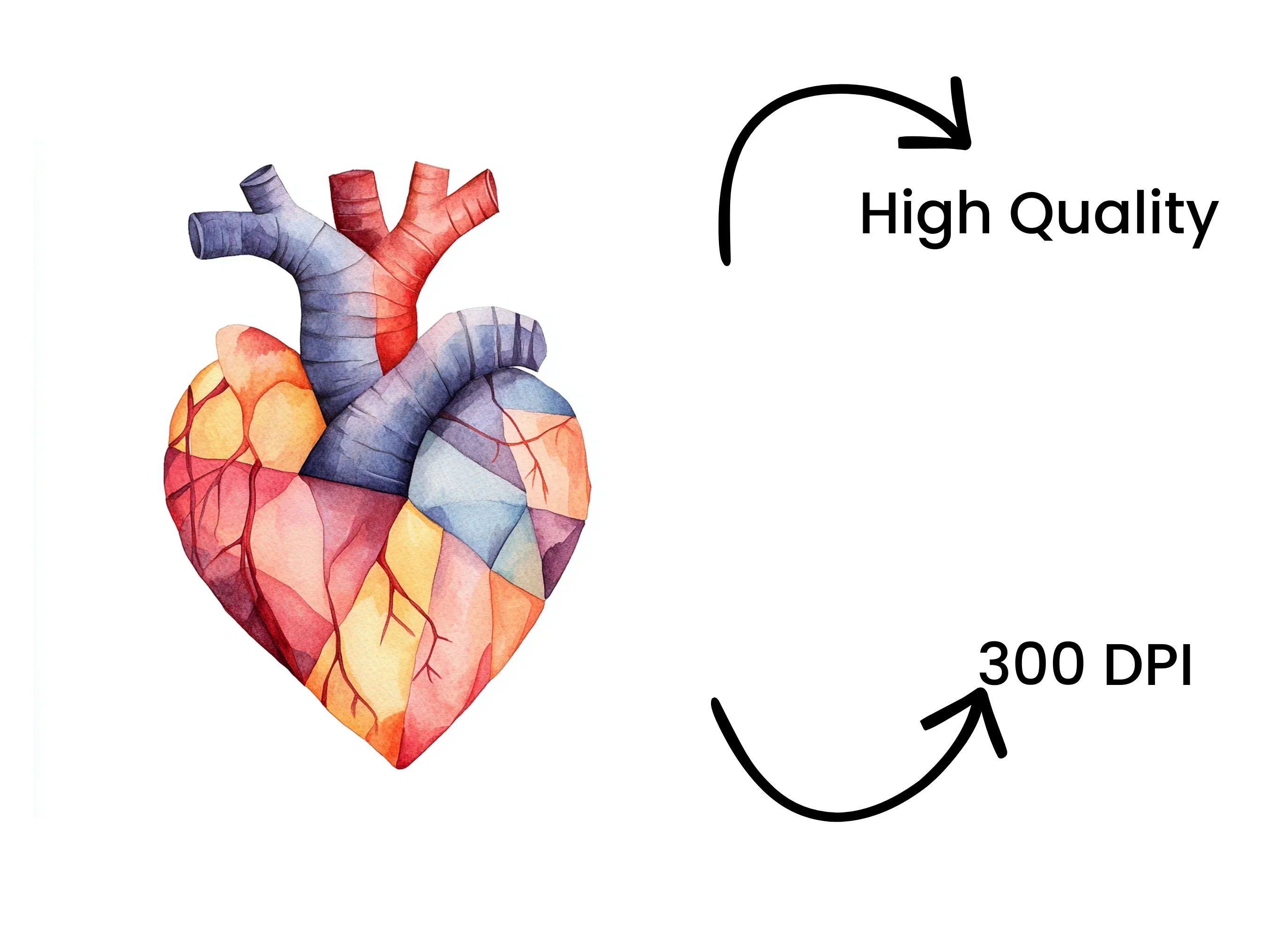 Geometric Human Heart Clipart Bundle - Image 4