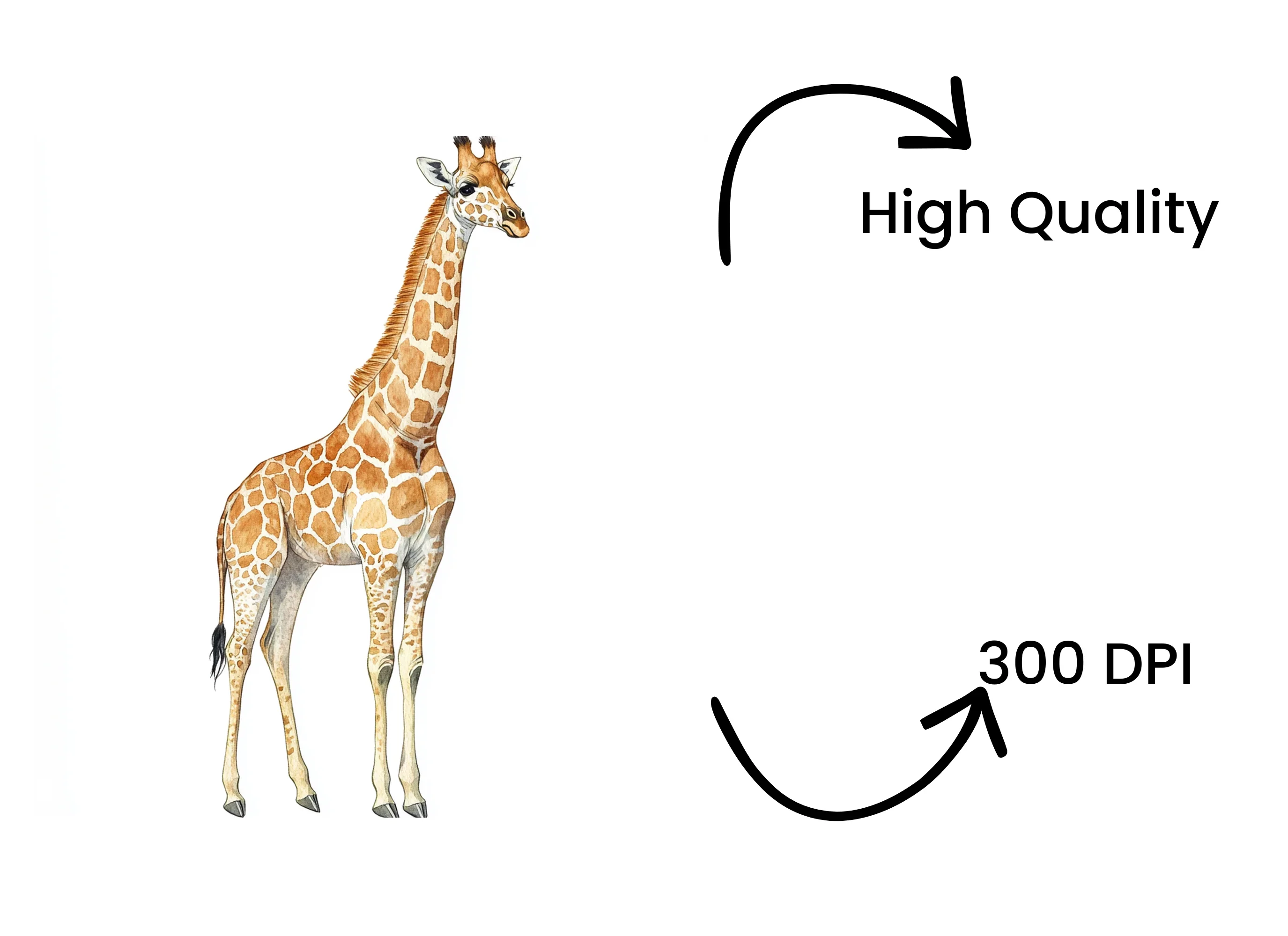 Giraffe Clipart Bundle - Image 4