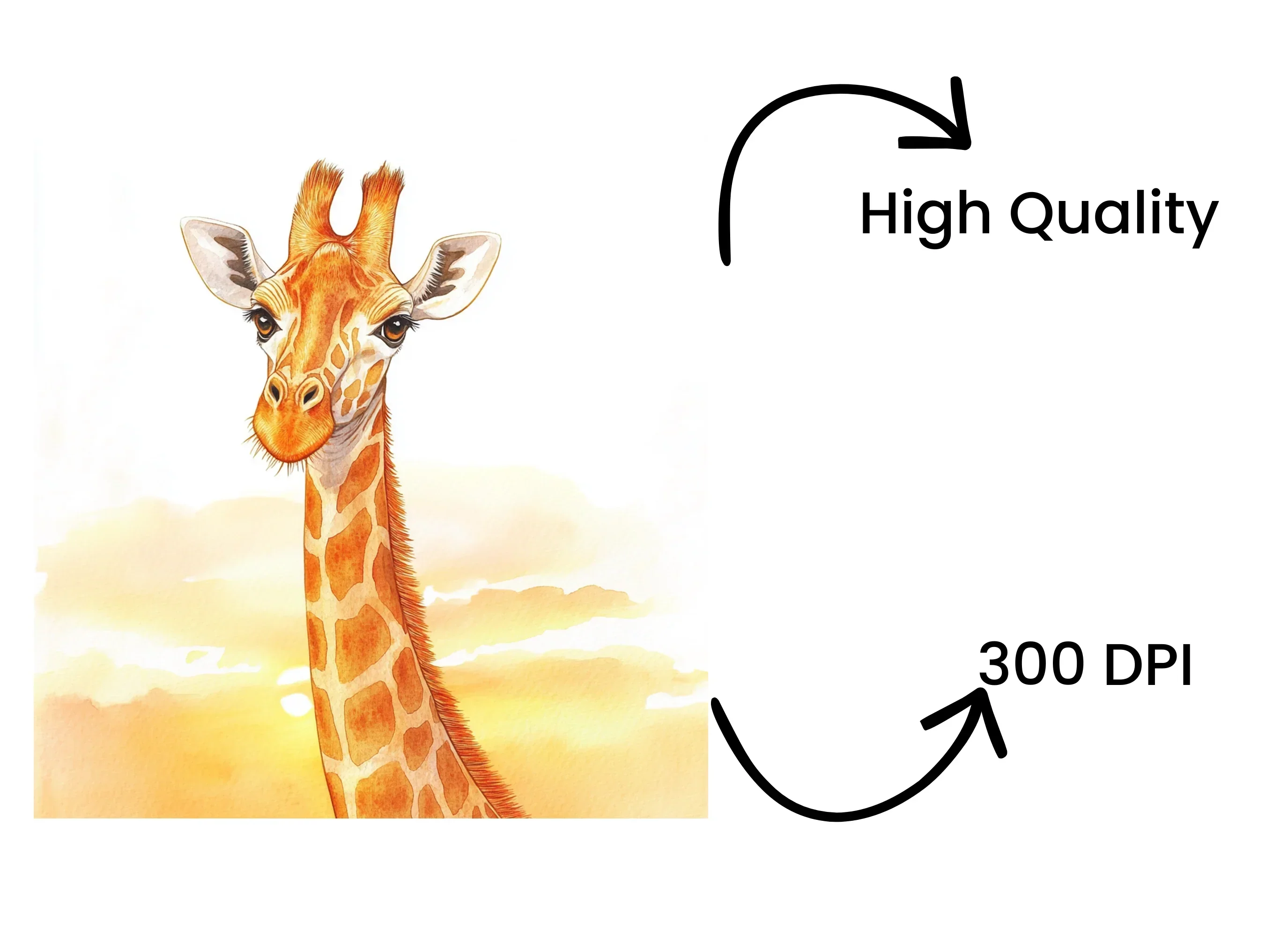 Giraffe Head Clipart Bundle - Image 4