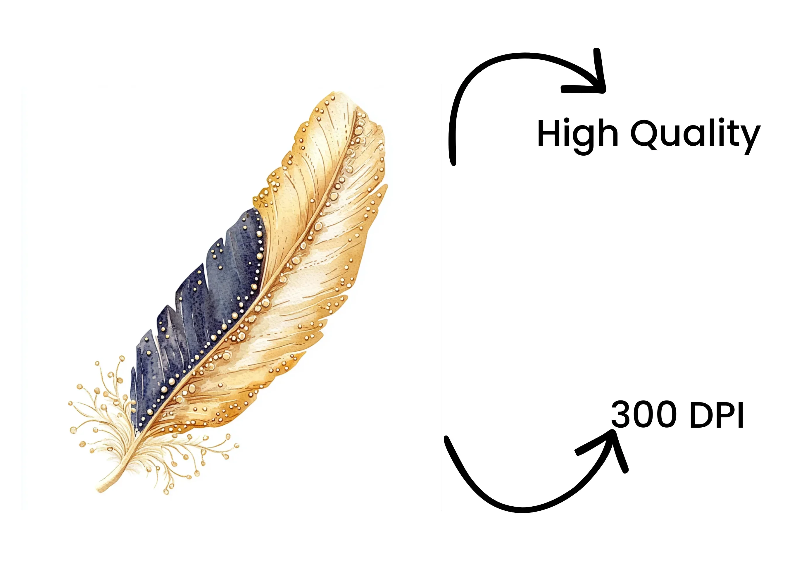 Golden Blue Feather Clipart Bundle - Image 4
