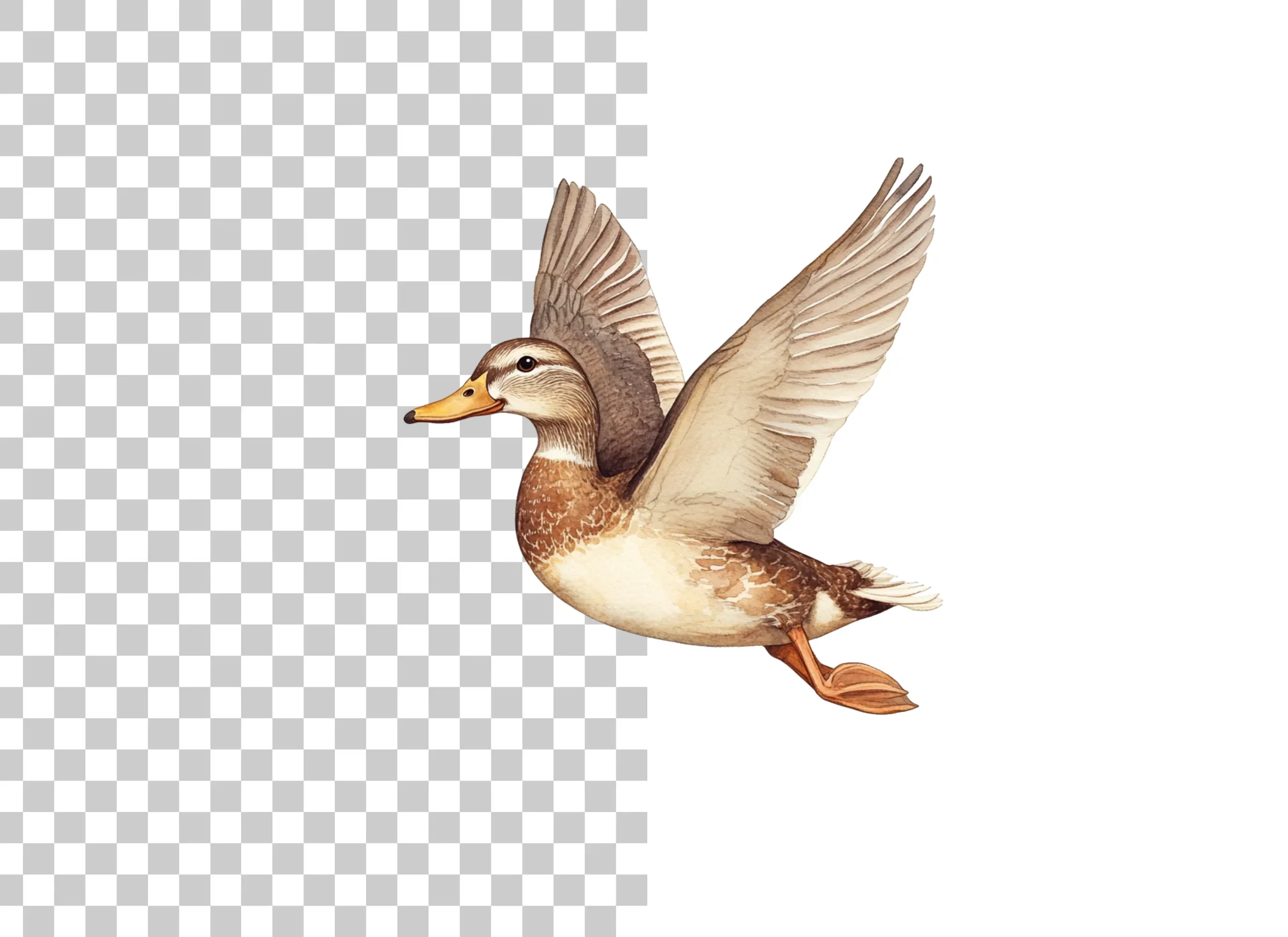 Graceful Flying Duck Clipart Bundle - Image 2