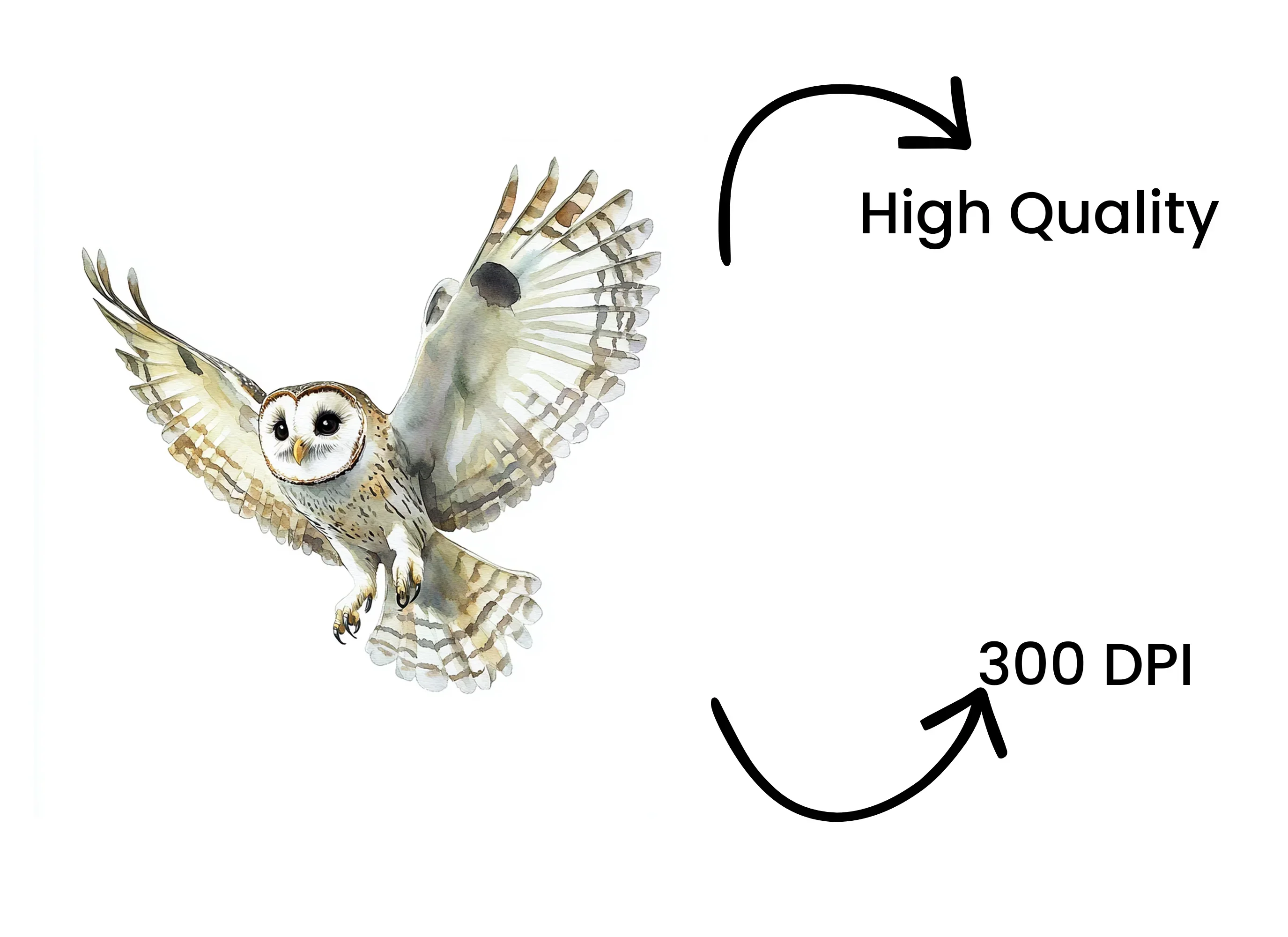 Graceful Flying Owl Clipart Bundle - Image 4