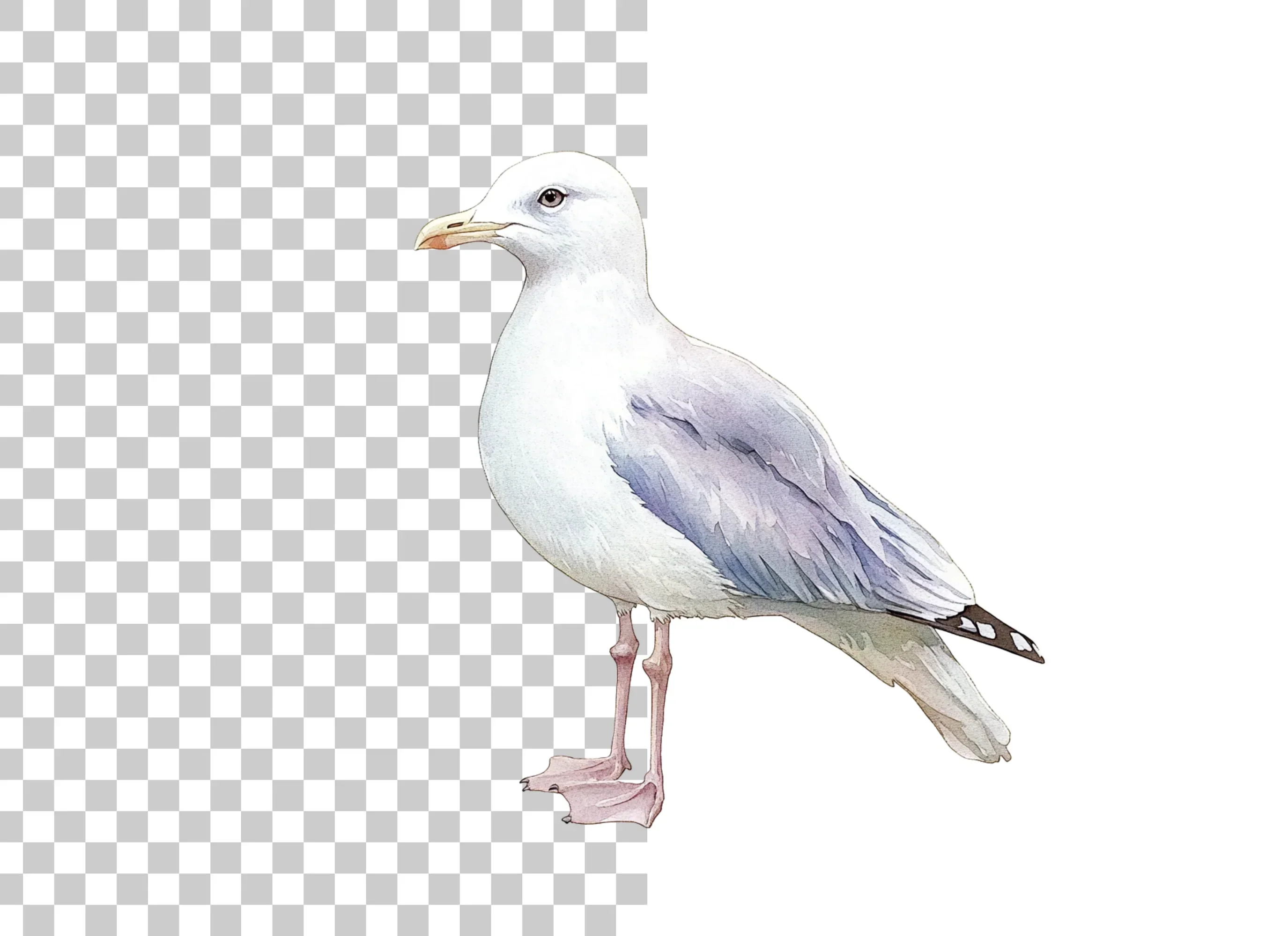 Graceful Seagull Clipart Bundle - Image 6