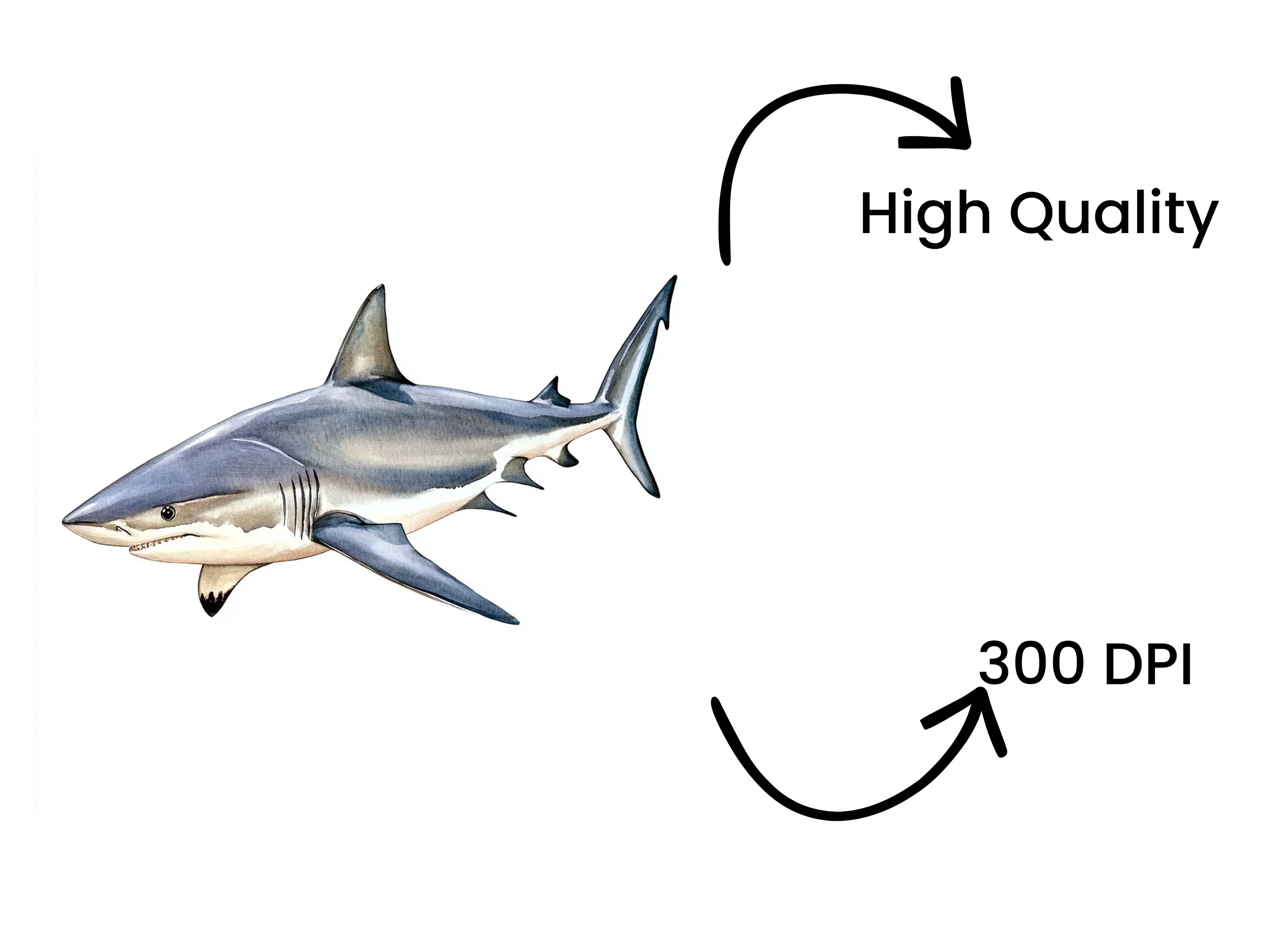 Great White Shark Clipart Bundle - Image 4
