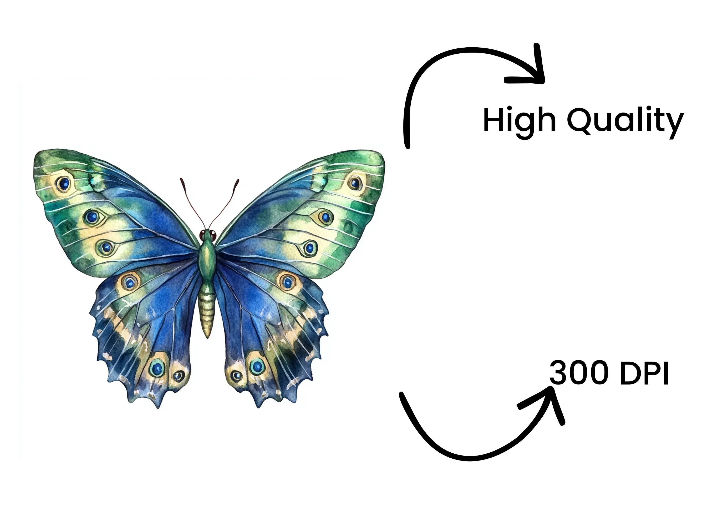 Green and Blue Butterfly Clipart Bundle - Image 4