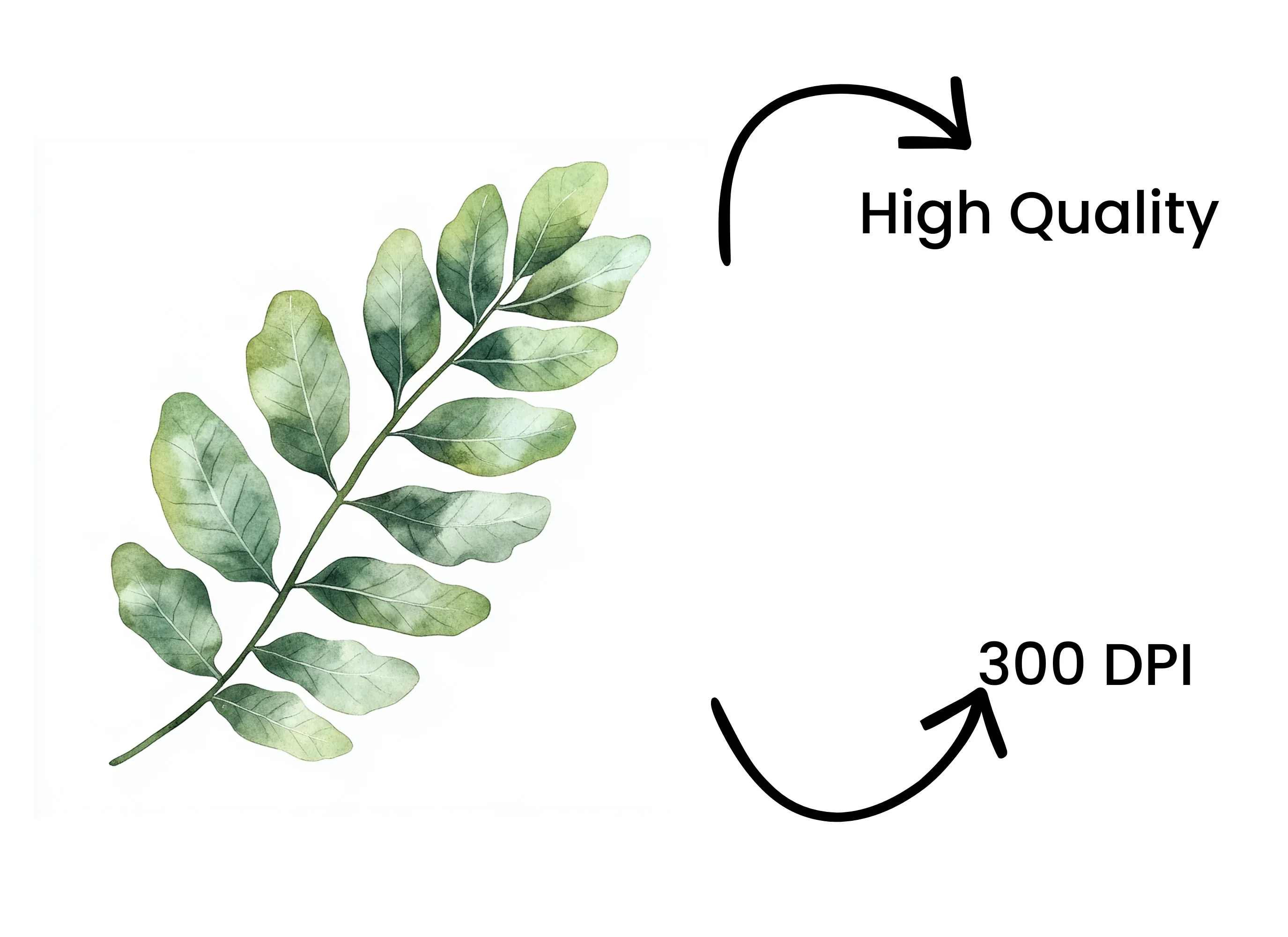 Green Fern and Branch Clipart Bundle - Image 4