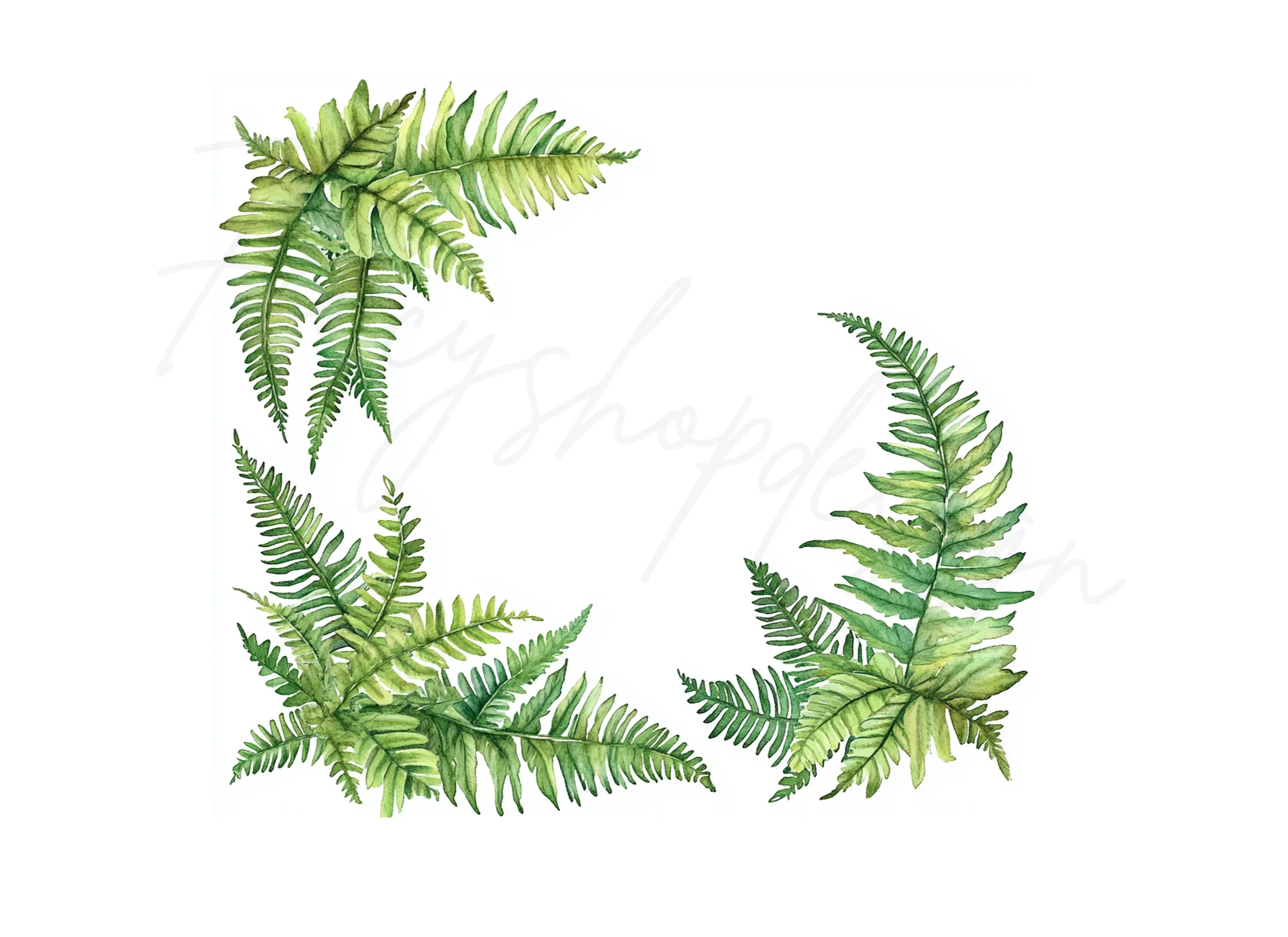 Green Fern Border Elements Clipart Bundle - Image 3
