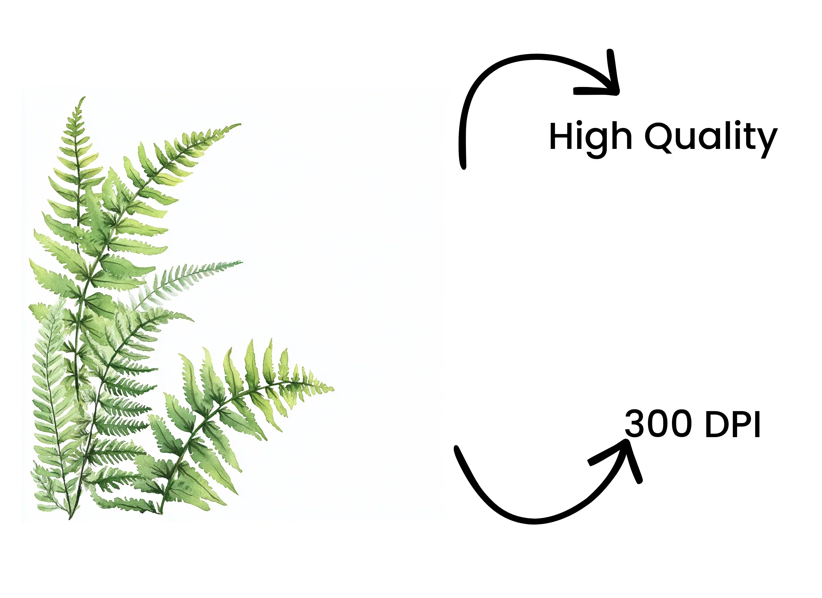 Green Fern Border Elements Clipart Bundle - Image 4