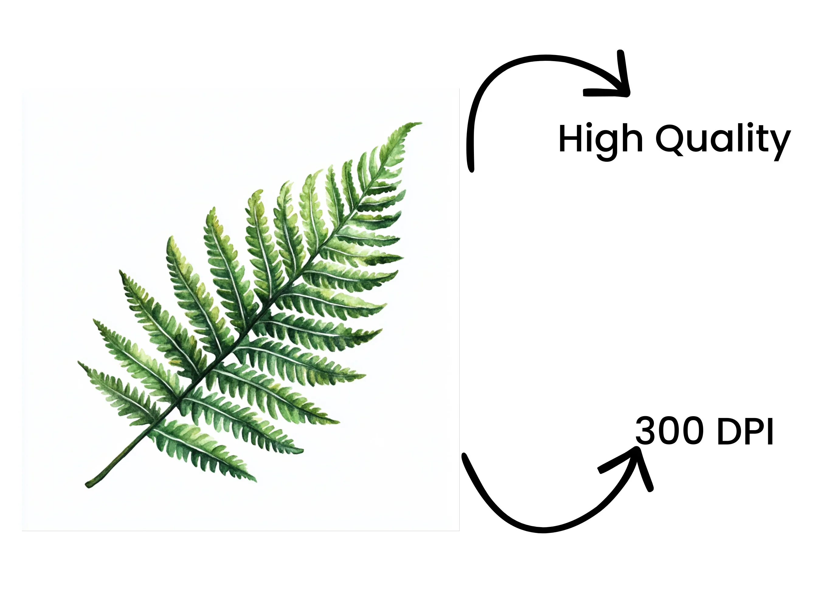 Green Fern Foliage Clipart Bundle - Image 4