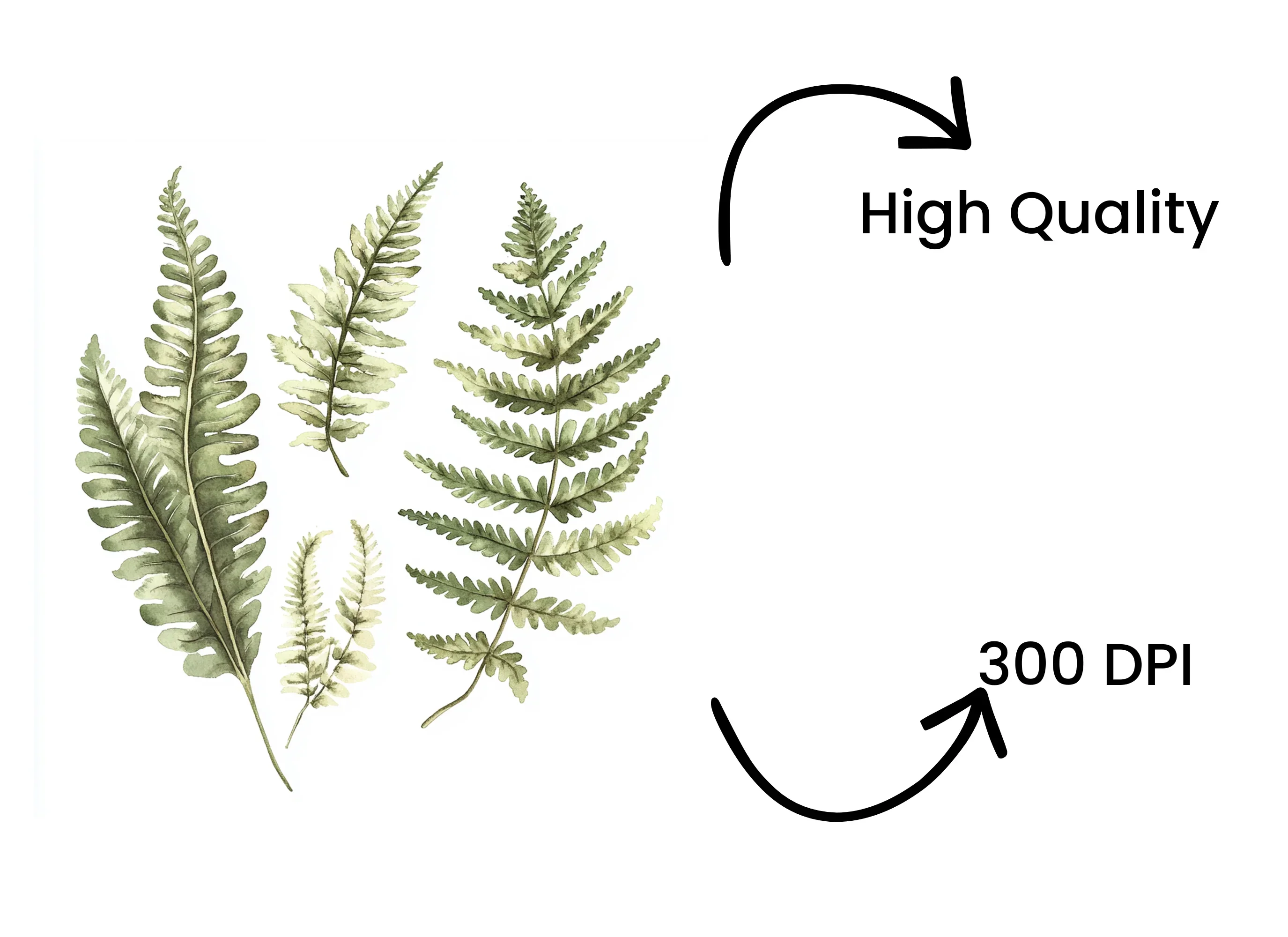 Green Fern Foliage Clipart Bundle - Image 4