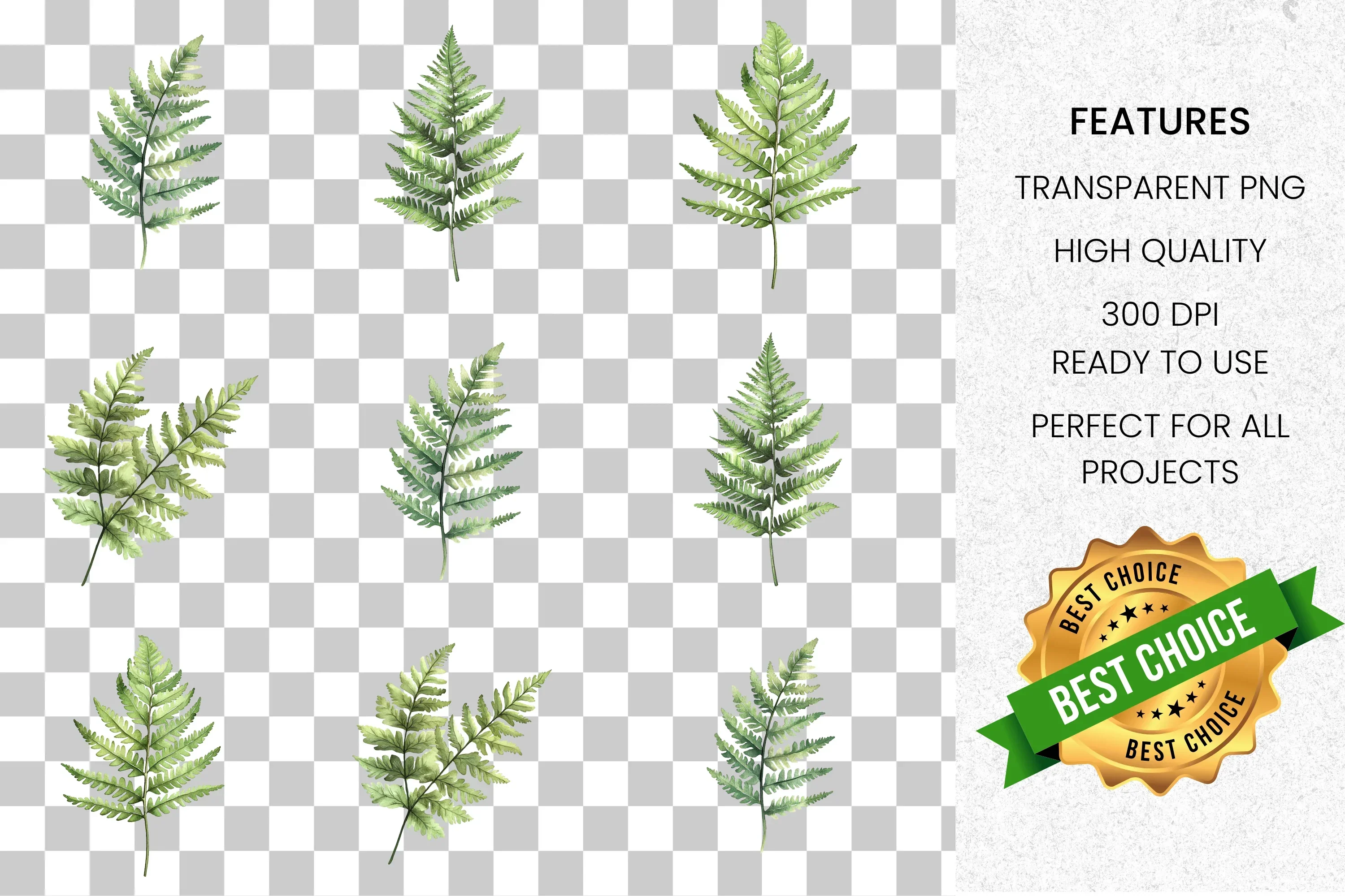 Green Fern Leaves Clipart Bundle - Image 2