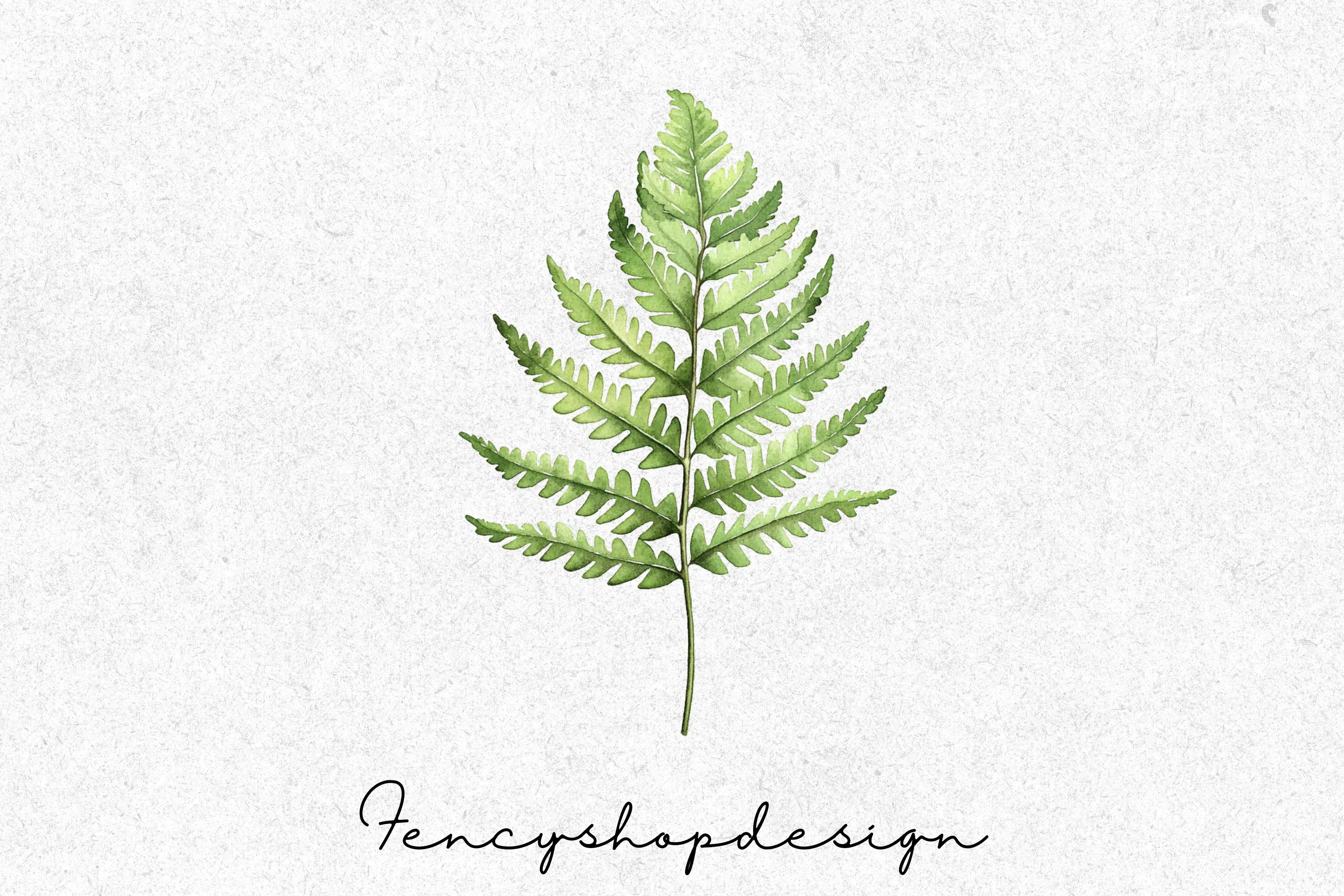 Green Fern Leaves Clipart Bundle - Image 4