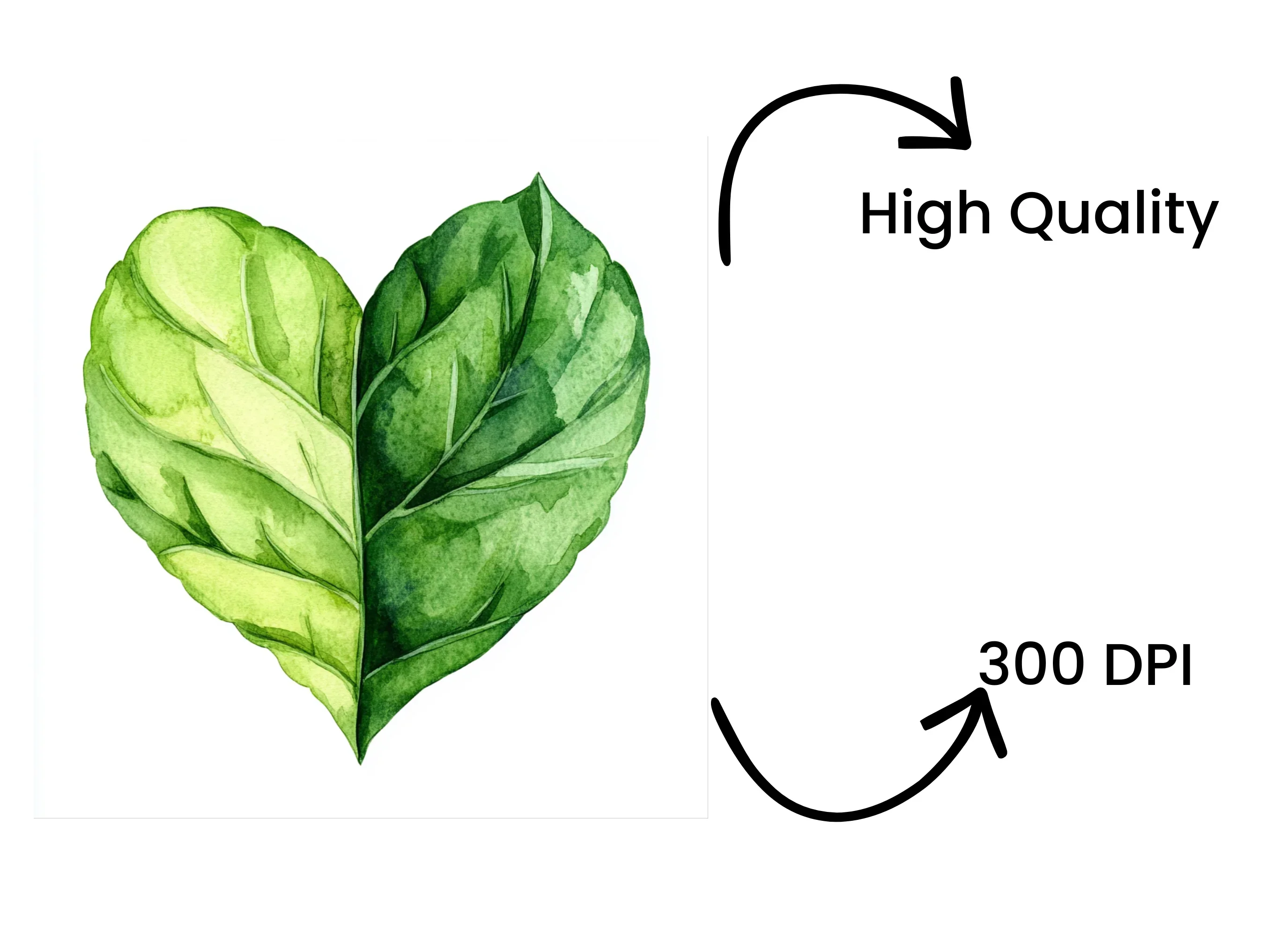 Green Leaf Heart Clipart Bundle - Image 4