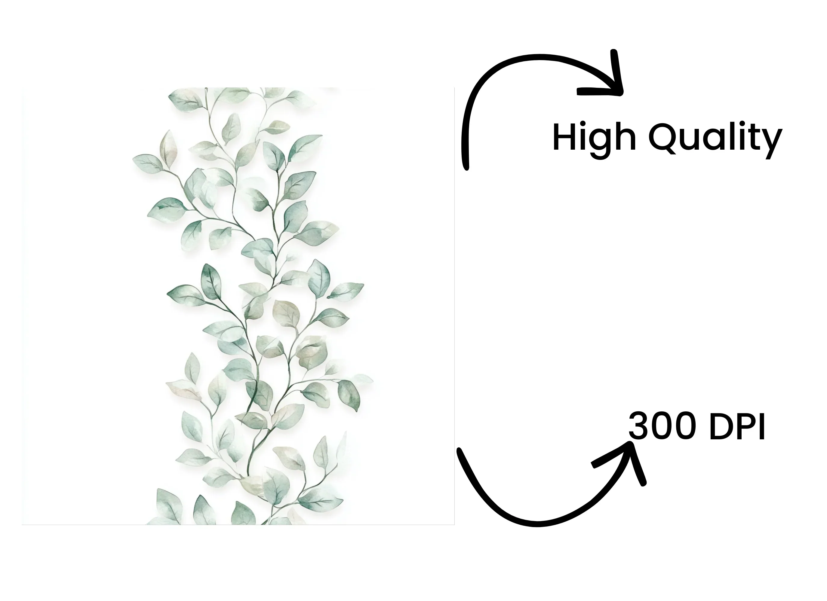 Green Leafy Vines and Floral Clipart Bundle - Image 4