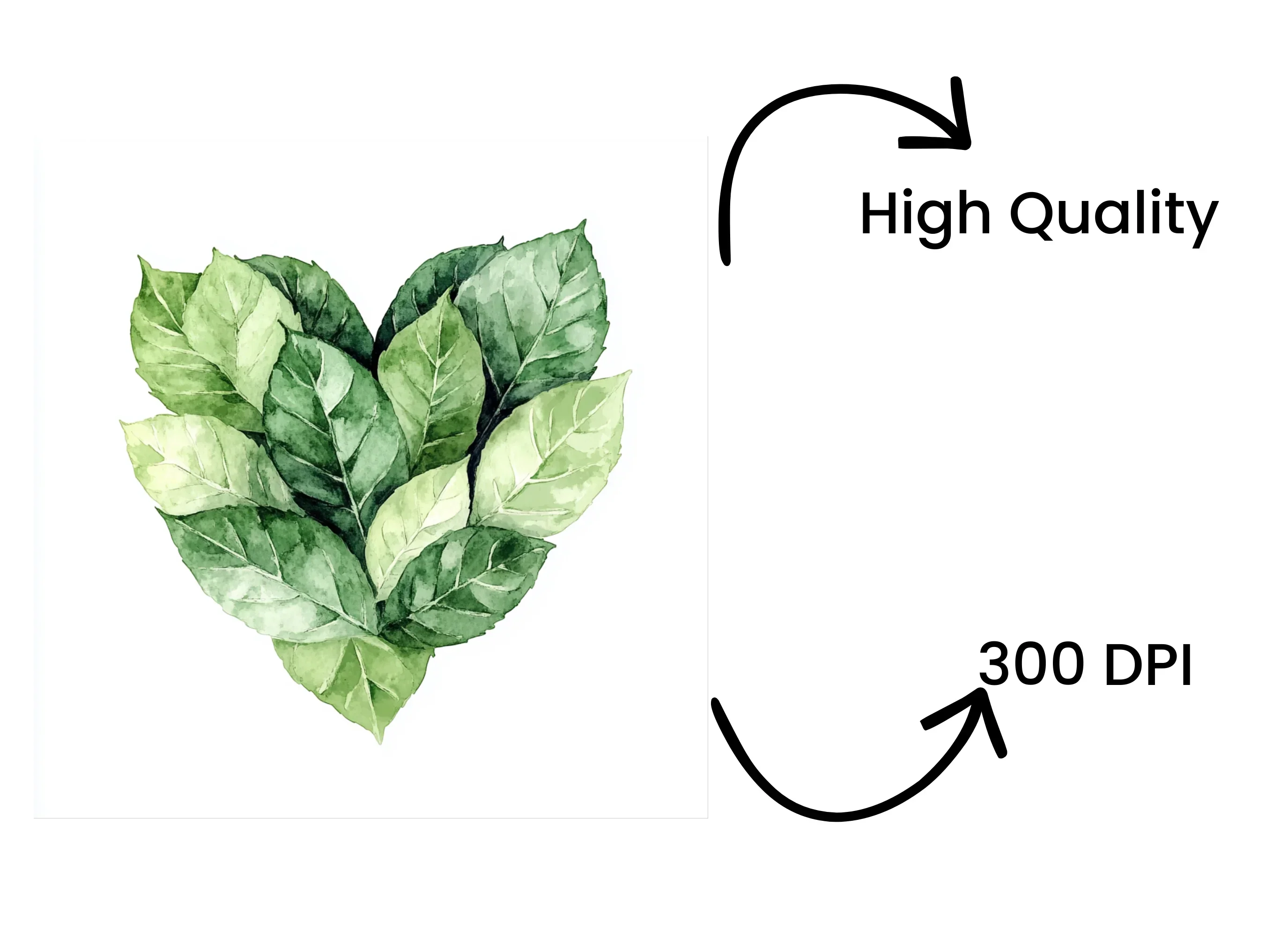Green Leaves Heart Clipart Bundle - Image 4