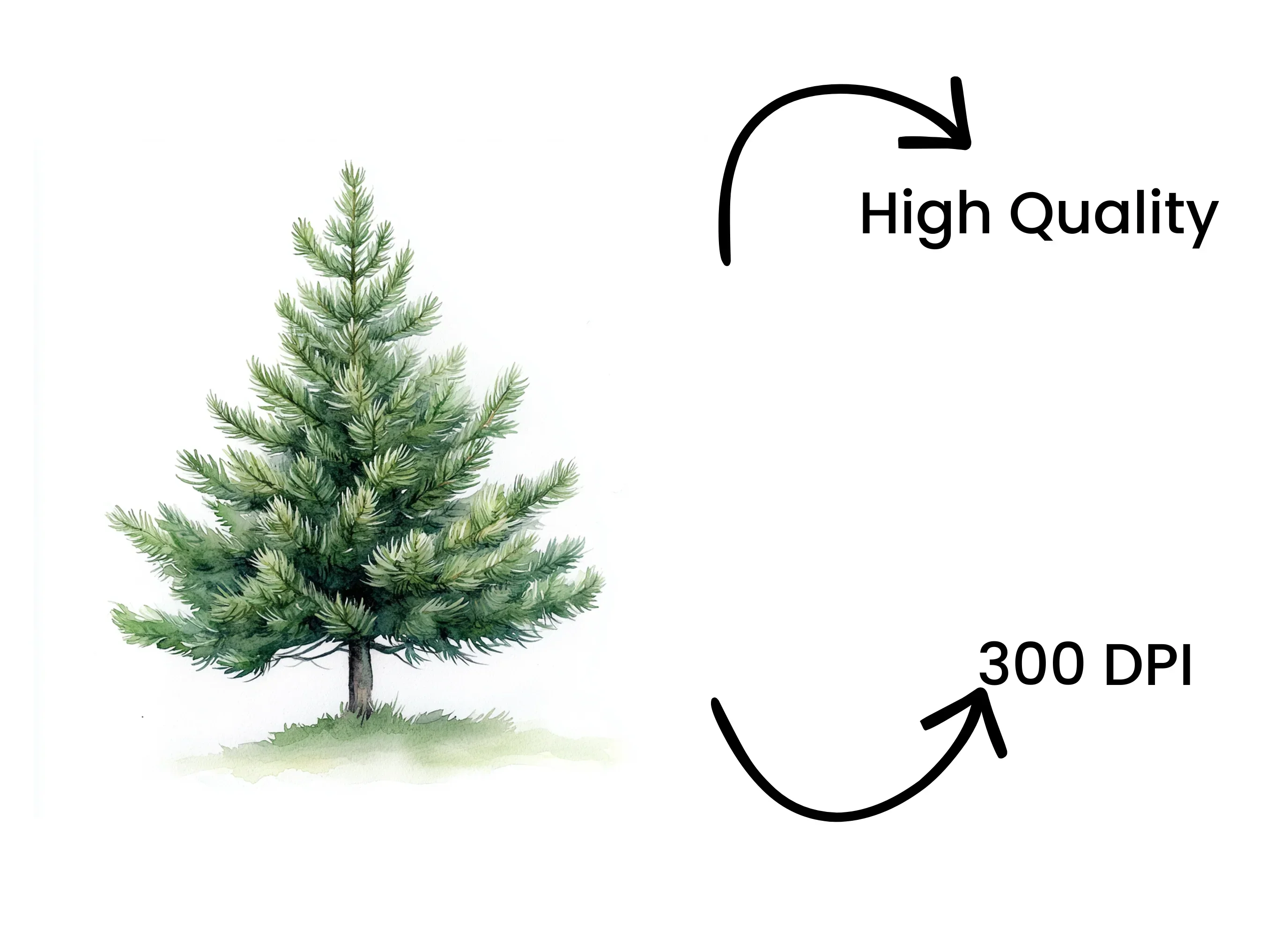 Green Pine Tree Illustrations Clipart Bundle - Image 4
