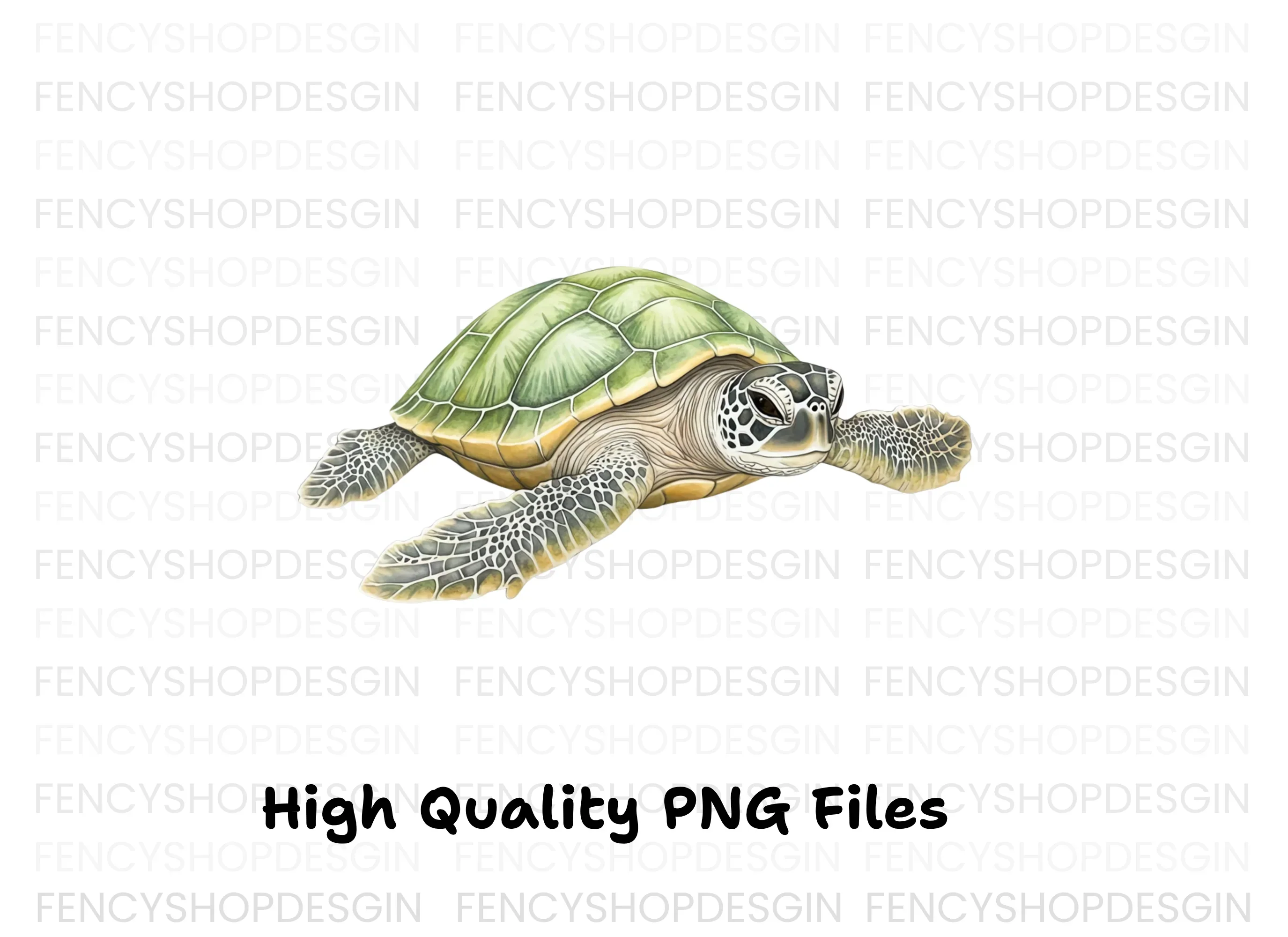 Green Sea Turtle Clipart Bundle - Image 3