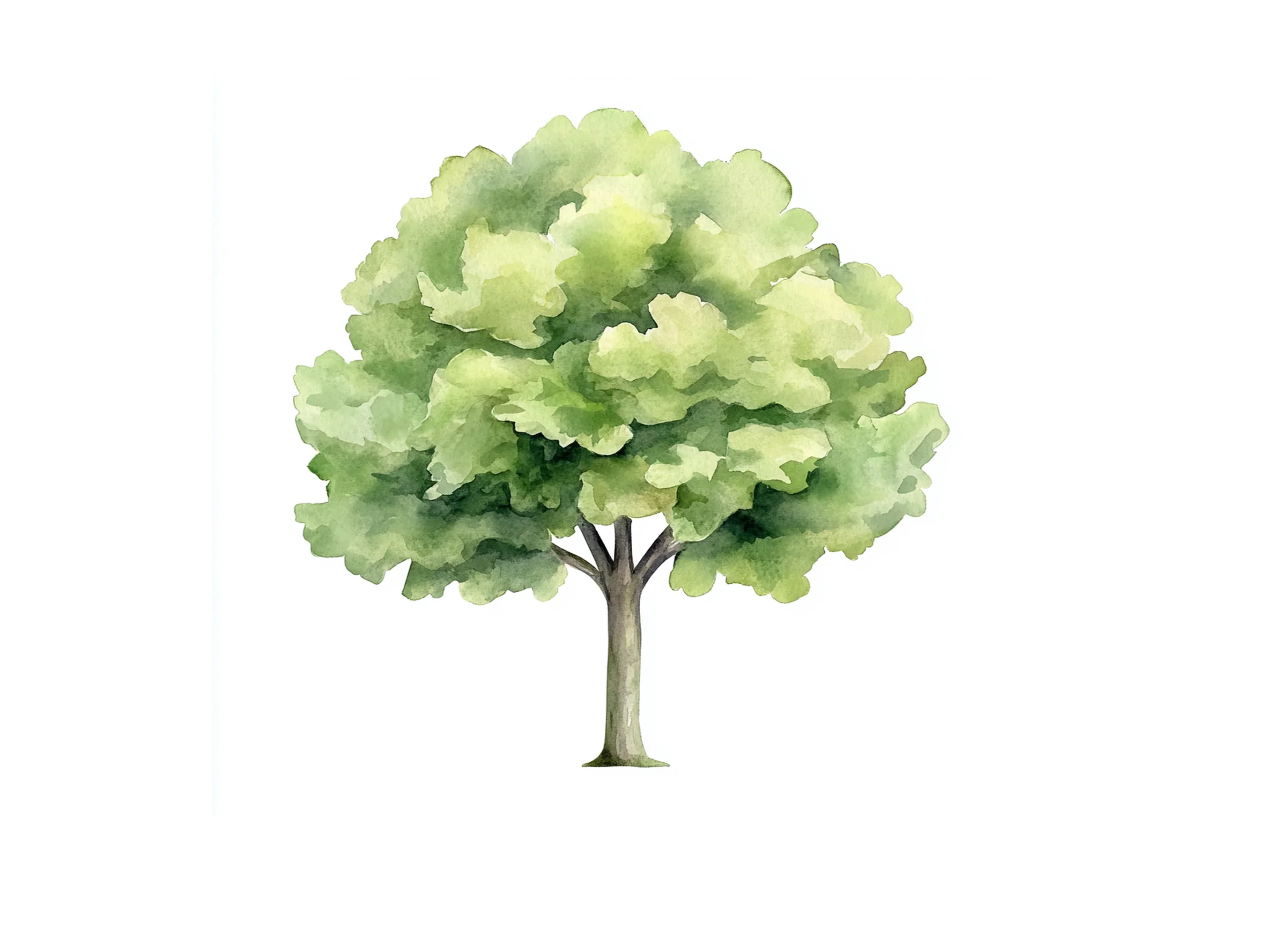 Green Tree Clipart Bundle - Image 2
