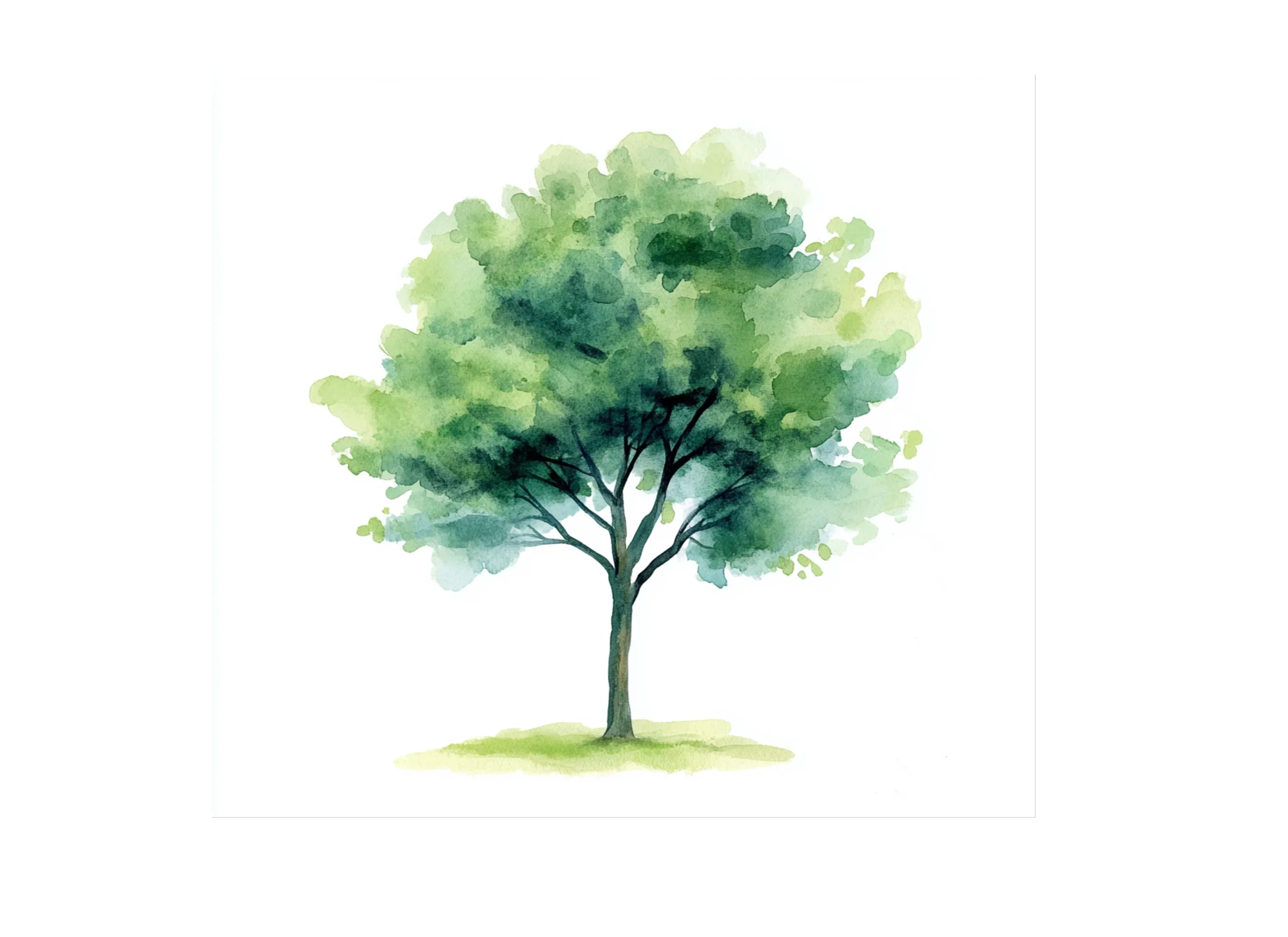 Green Trees Clipart Bundle - Image 3