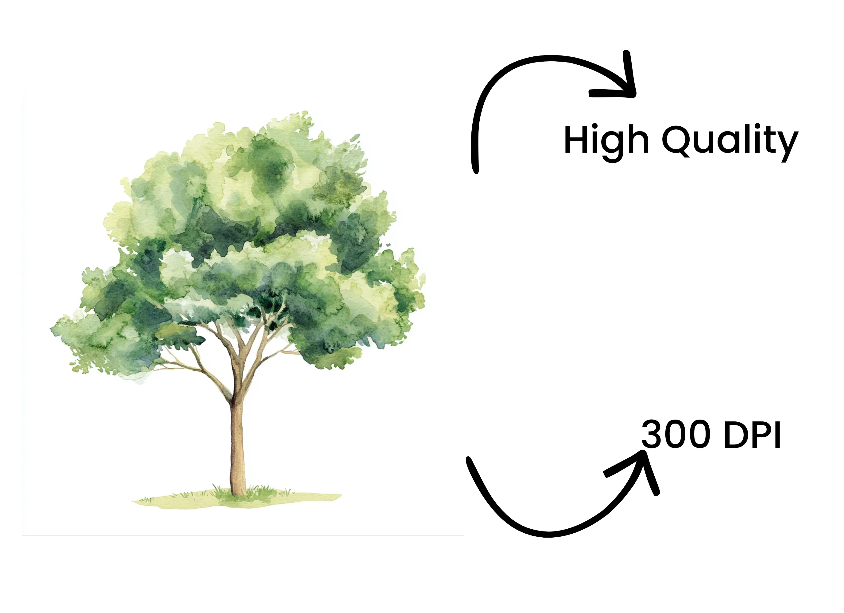 Green Trees Clipart Bundle - Image 4