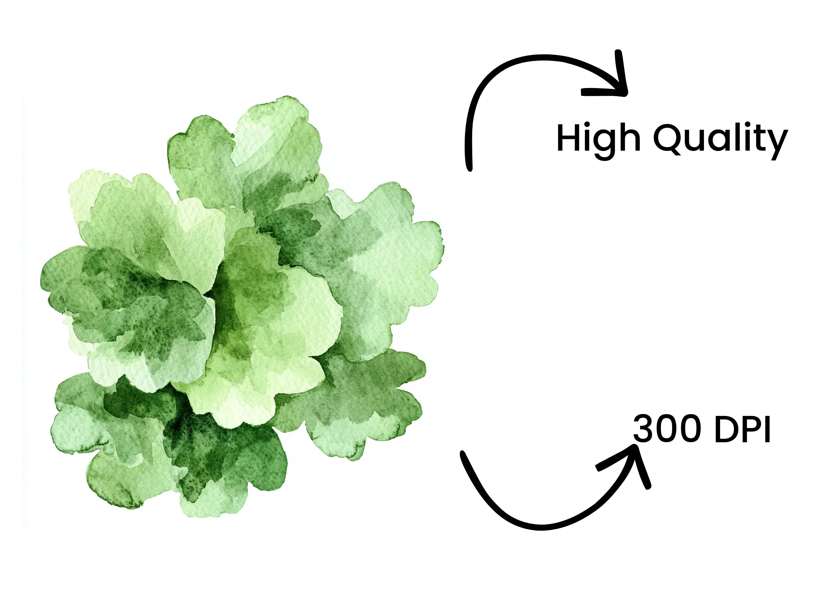 Greenery Clipart Bundle - Image 4