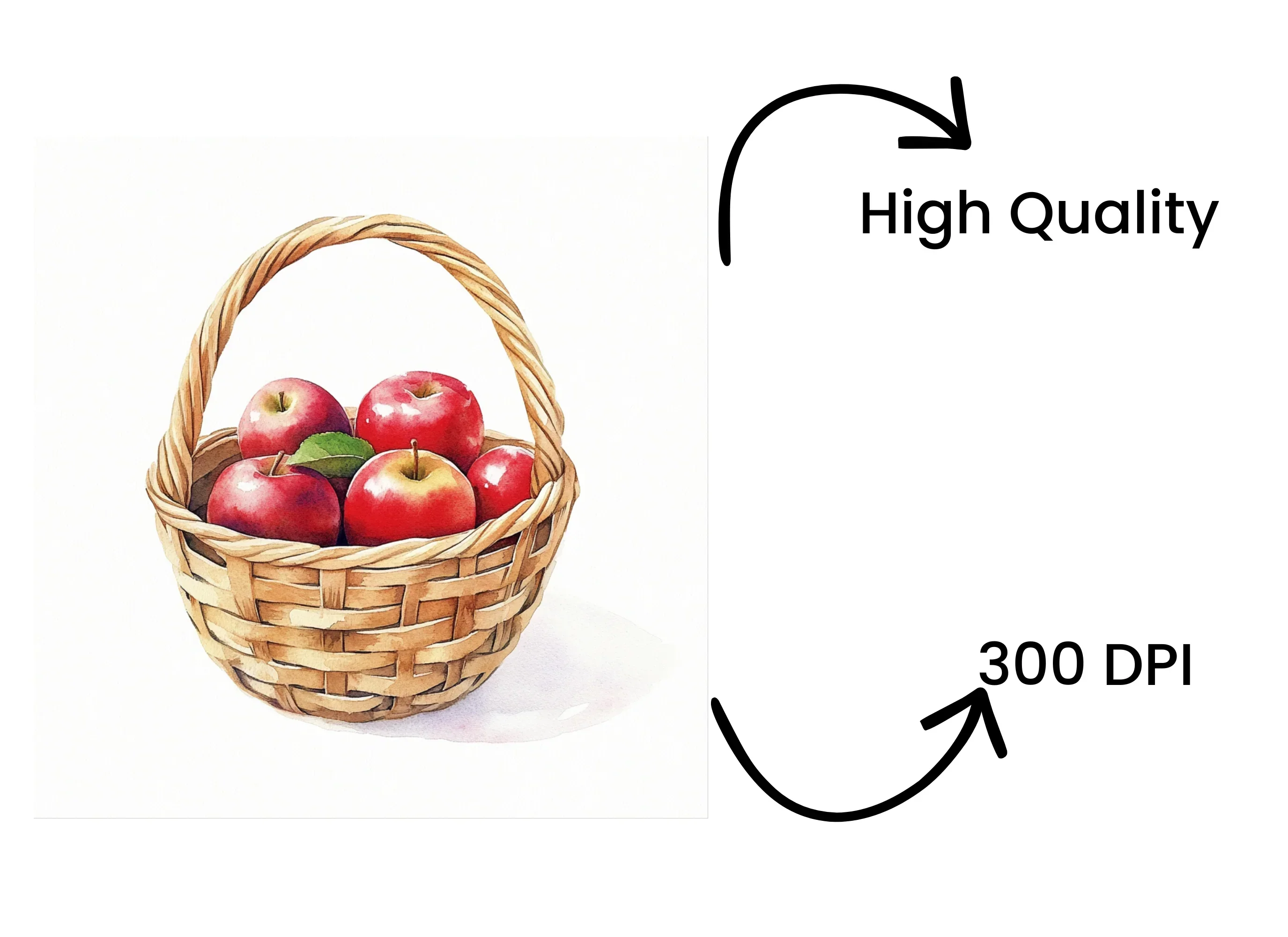 Hand Drawn Apple Basket Illustrations Clipart Bundle - Image 4