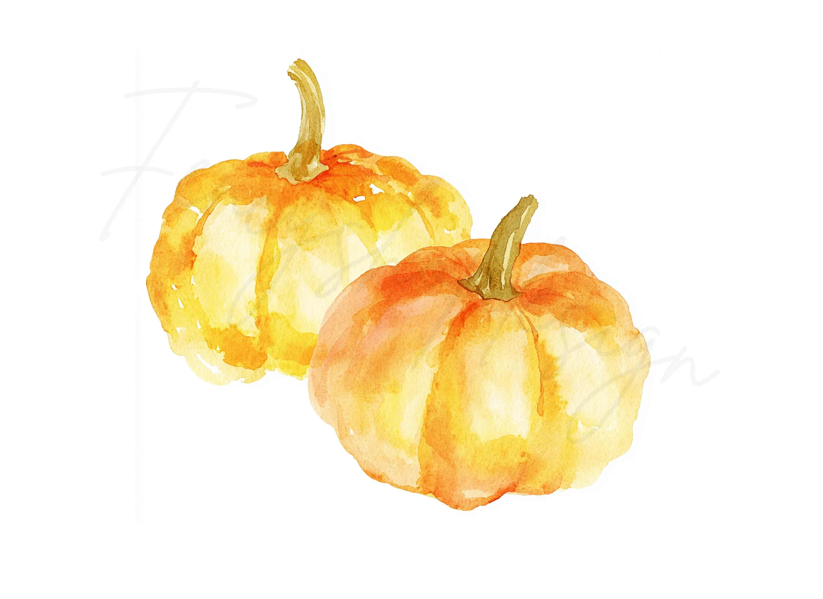 Hand Painted Pumpkins Clipart Bundle - Image 3