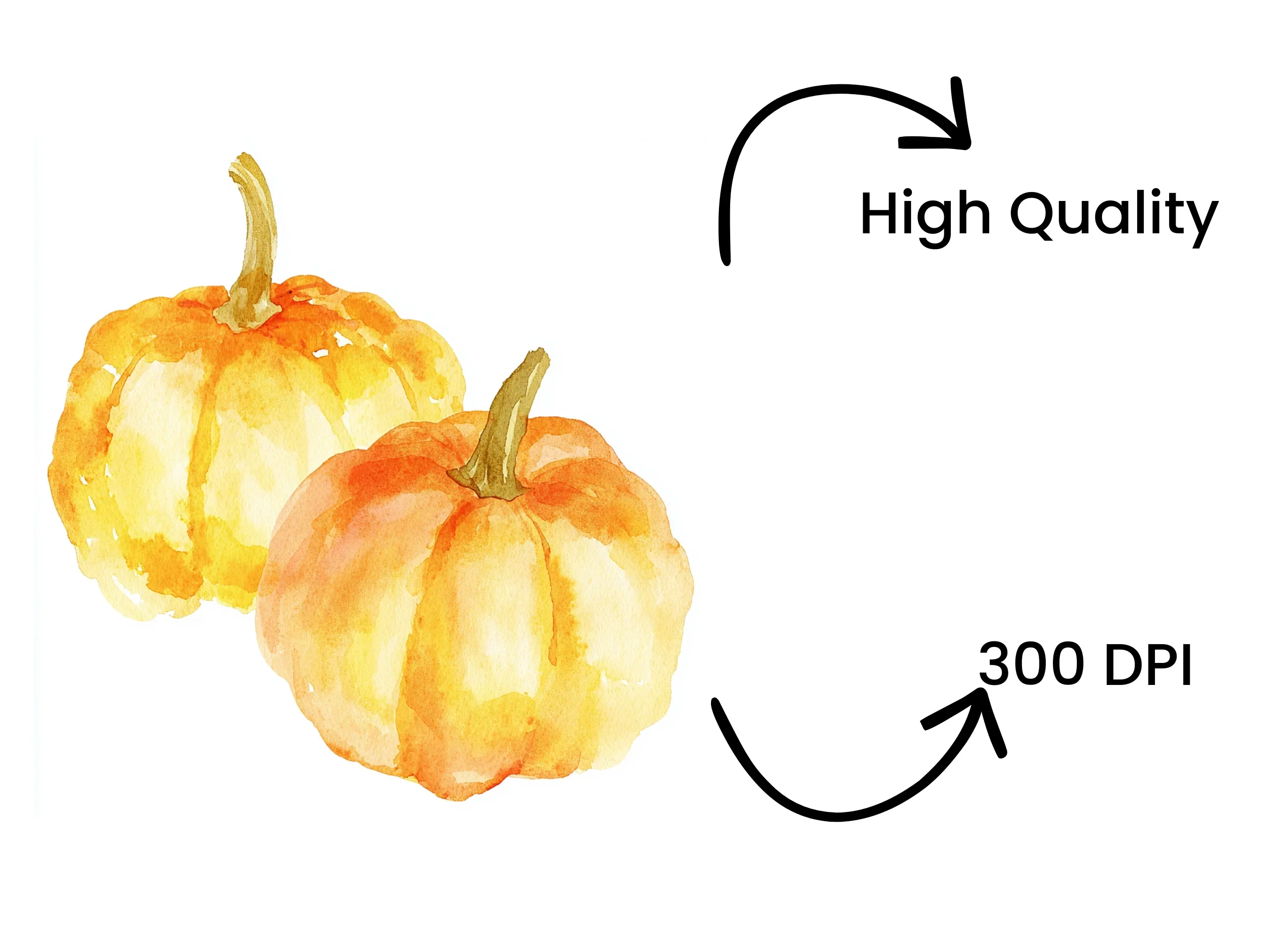 Hand Painted Pumpkins Clipart Bundle - Image 4