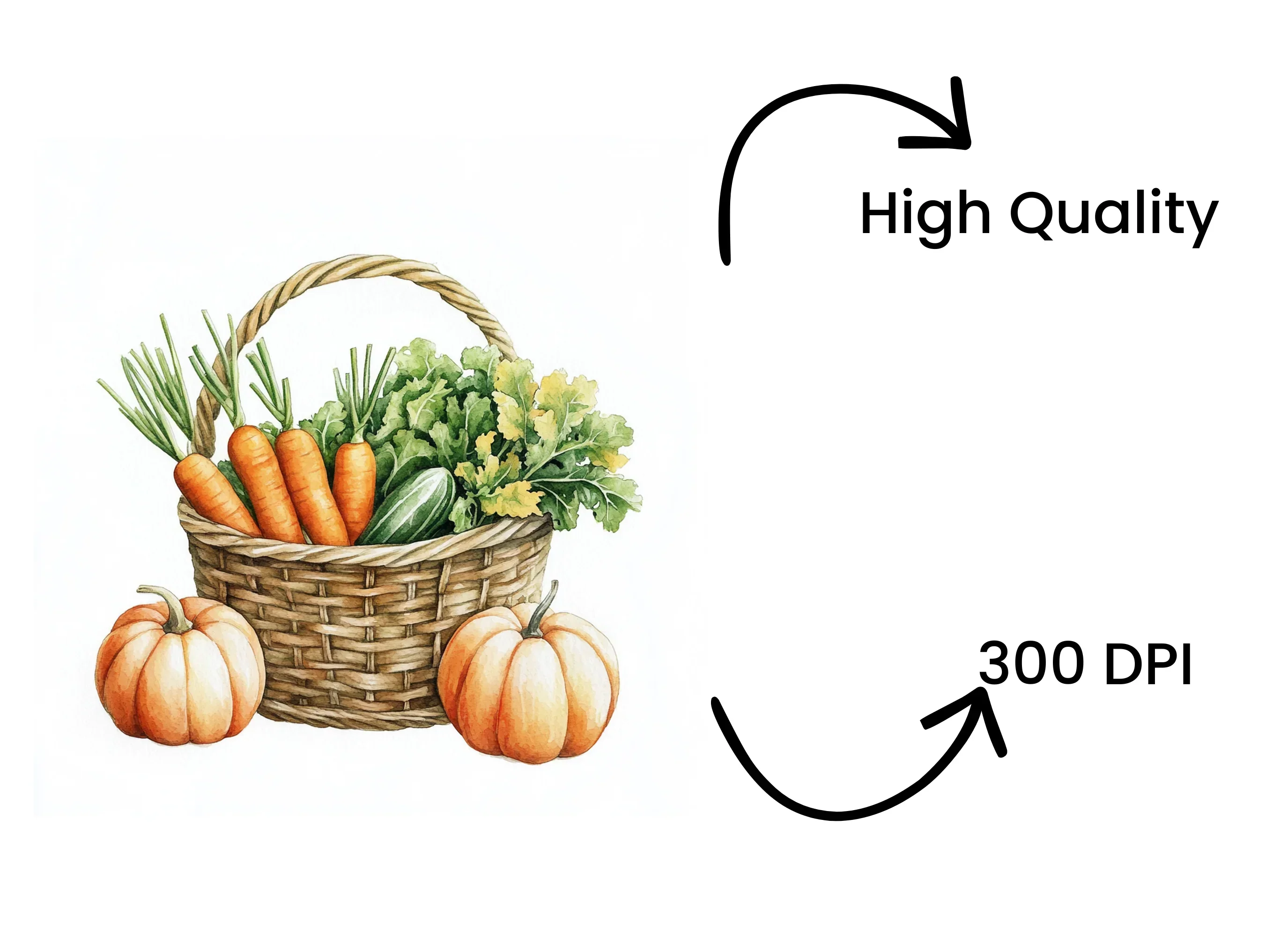 Harvest Baskets Clipart Bundle - Image 4