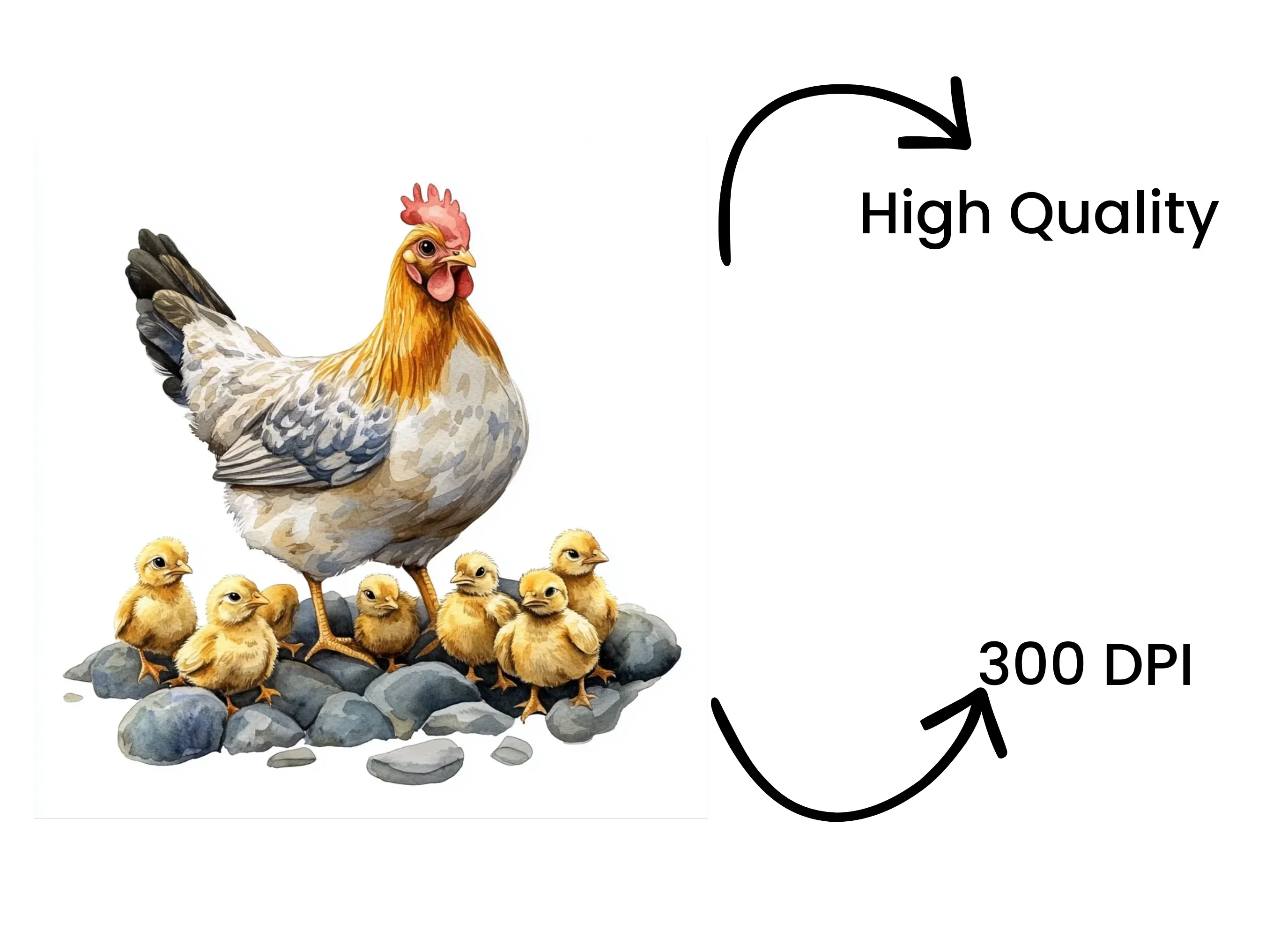 Hen and Chicks Clipart Bundle - Image 4