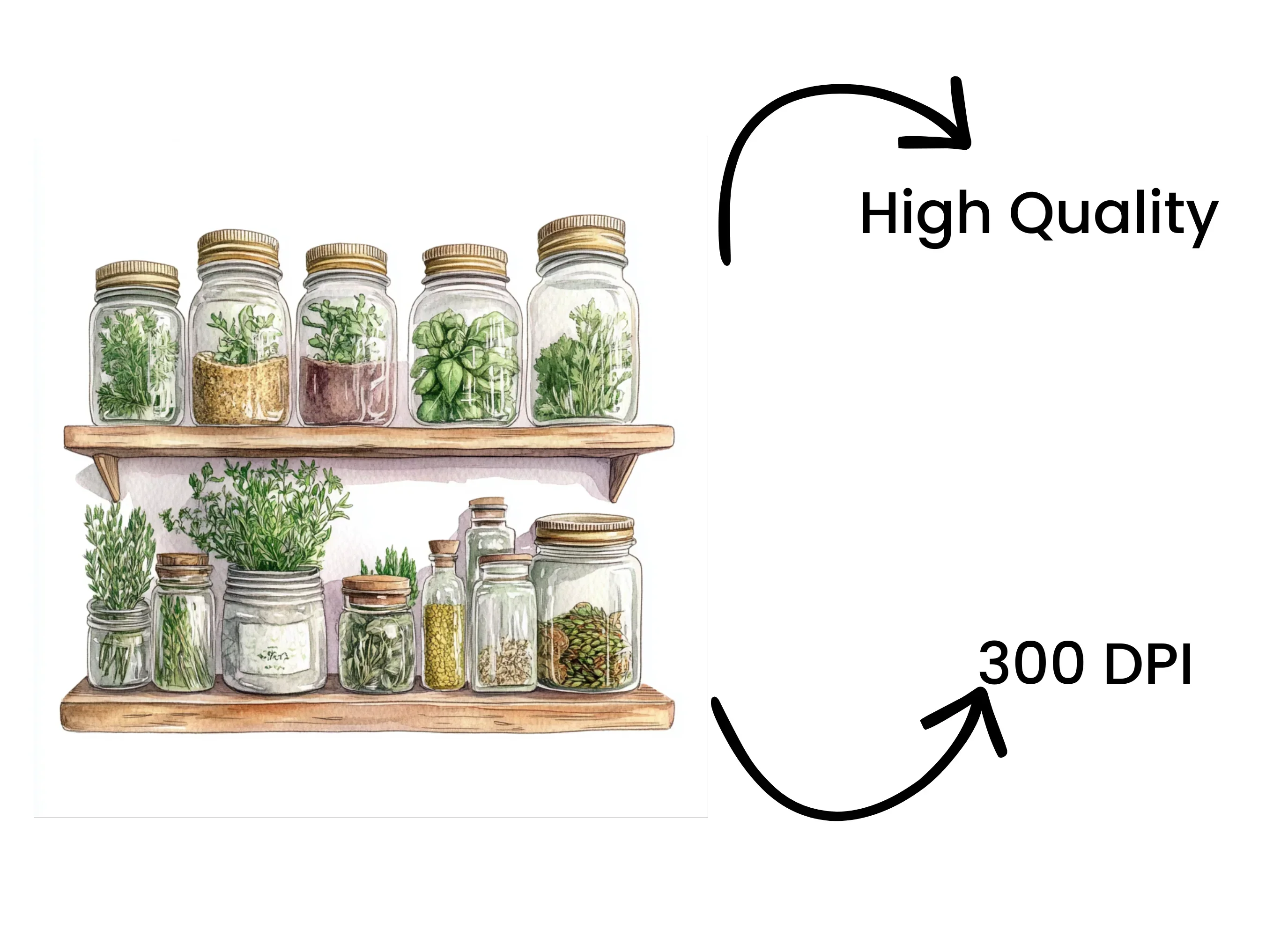 Herbal Pantry Illustrations Clipart Bundle - Image 4
