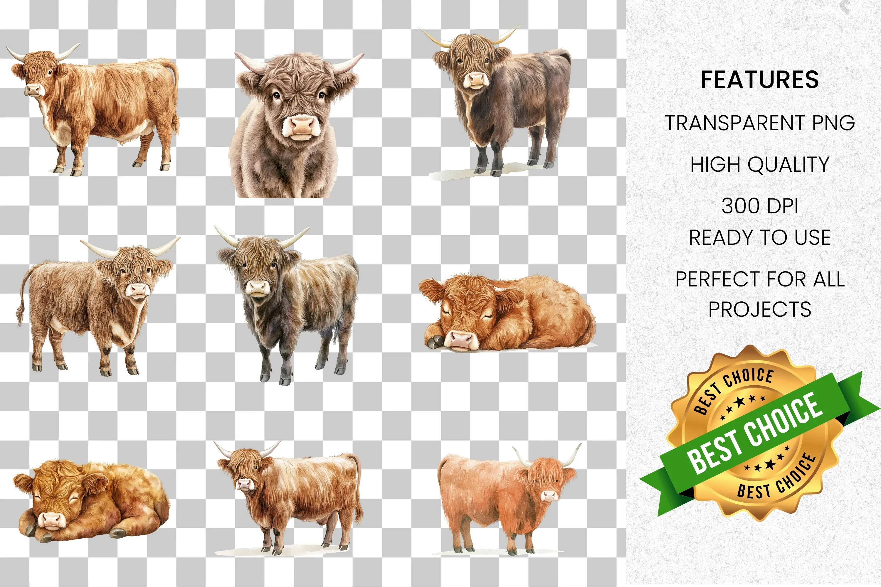 Highland Cow Clipart Bundle - Image 8