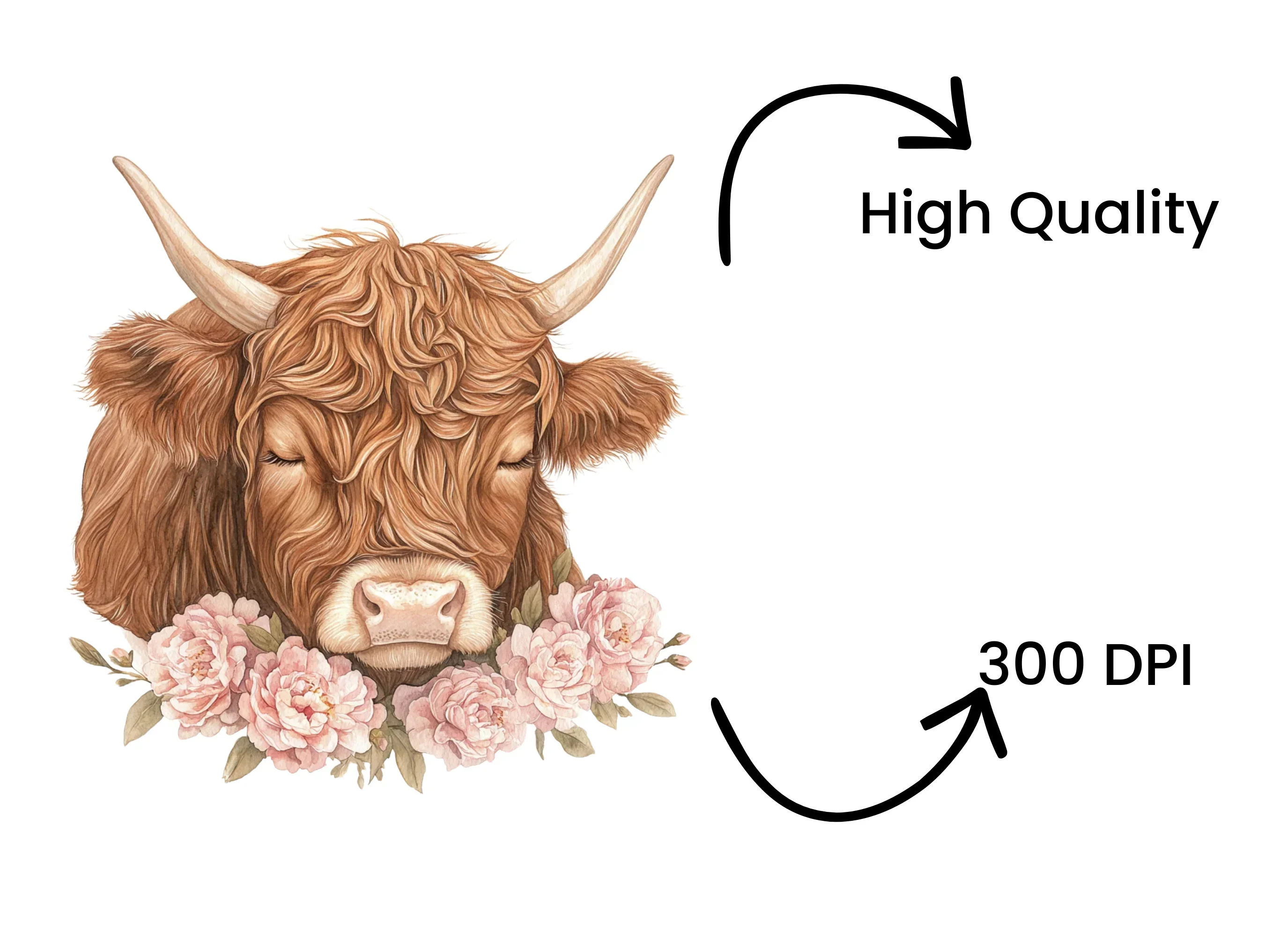 Highland Cow with Pink Peonies Clipart Bundle - Image 4