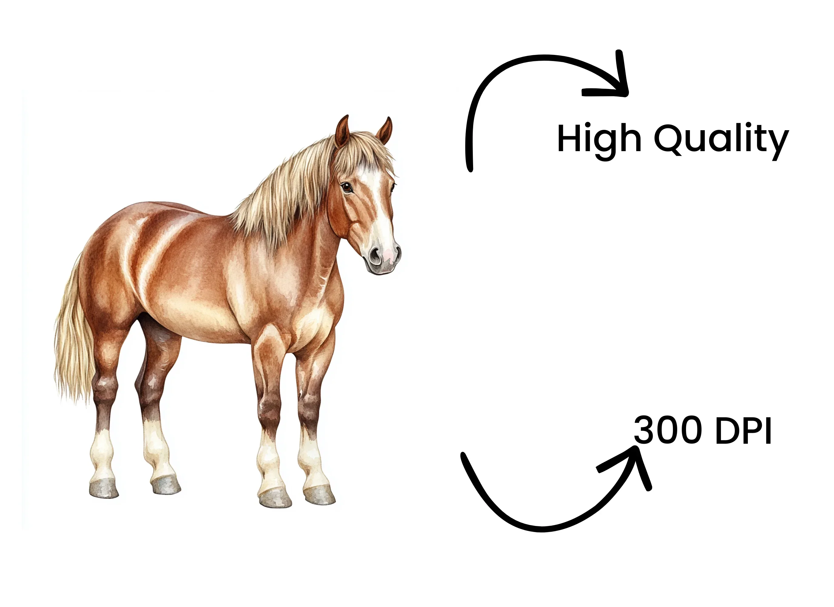 Horse Clipart Bundle - Image 4