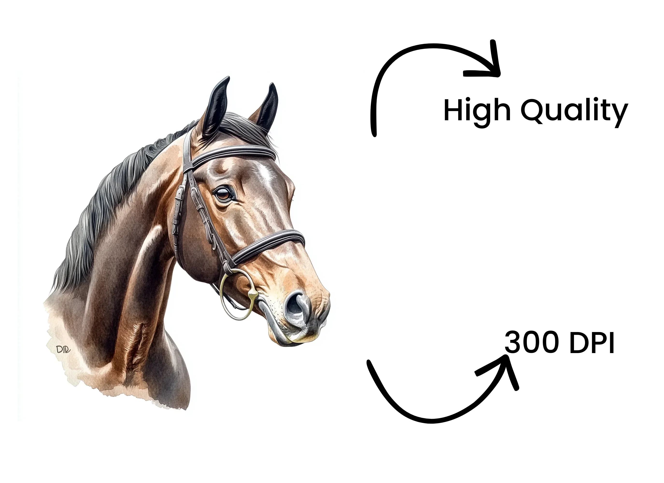 Horse Head Clipart Bundle - Image 4