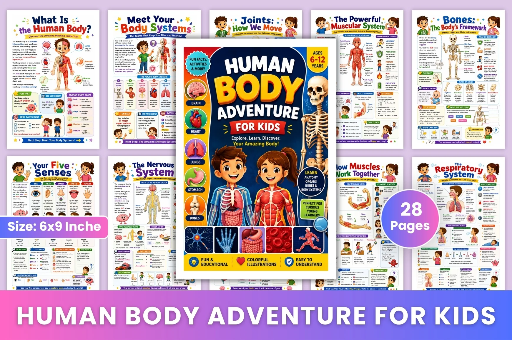 Human Body Adventure For Kids
