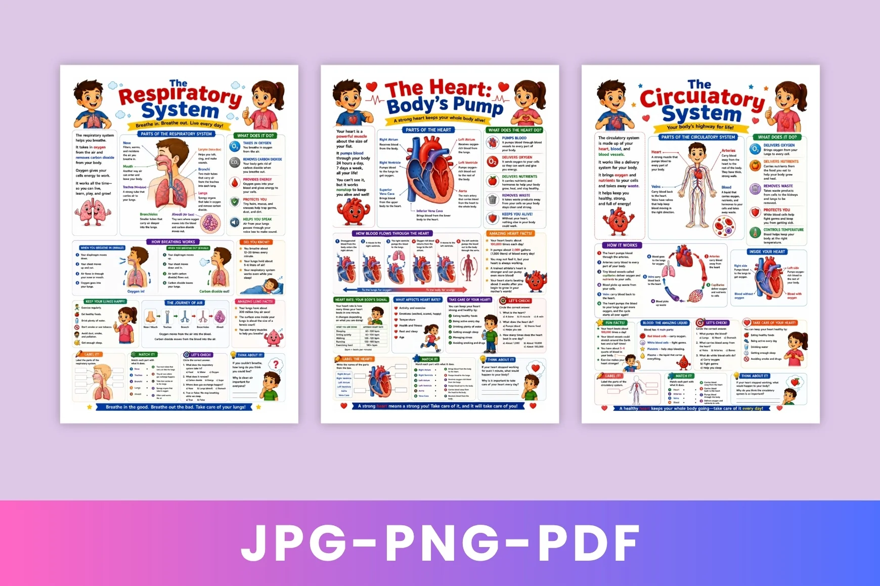 Human Body Adventure For Kids - Image 2