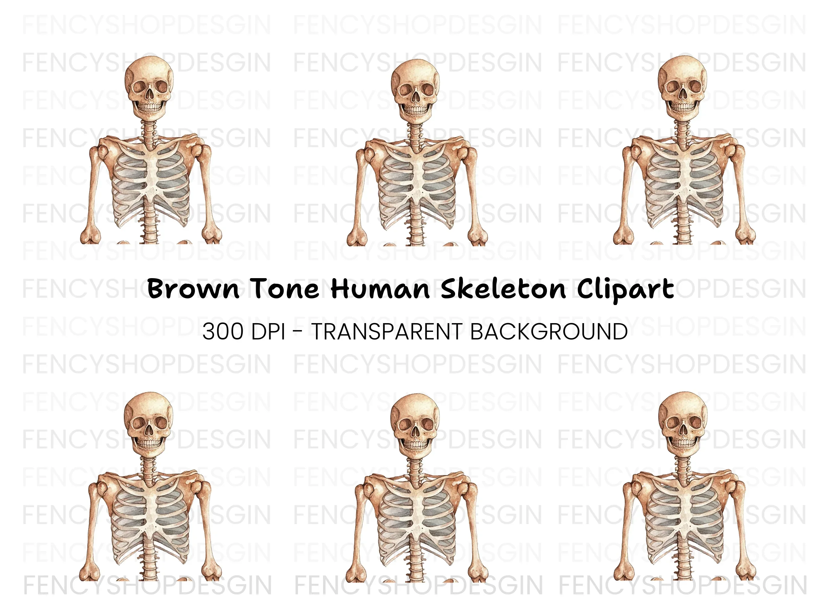 Human Skeleton Anatomy Clipart Bundle
