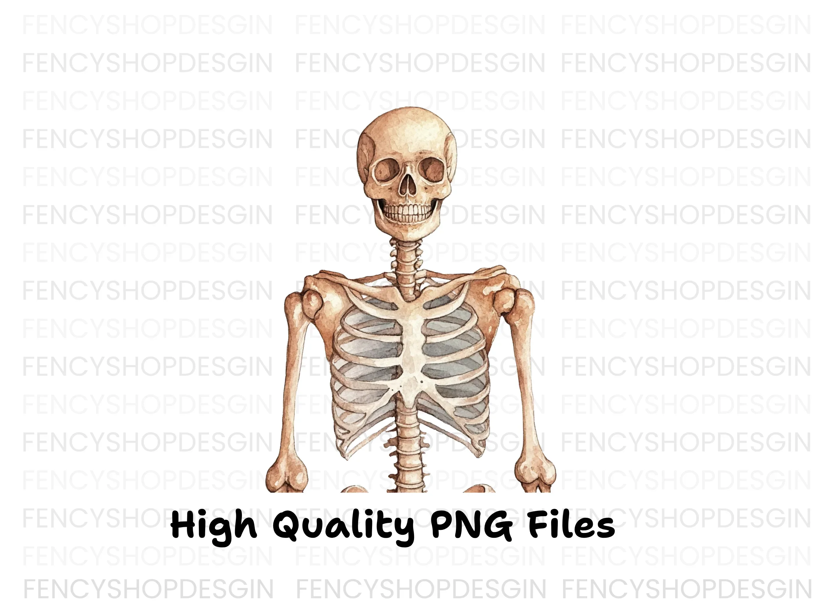 Human Skeleton Anatomy Clipart Bundle - Image 3
