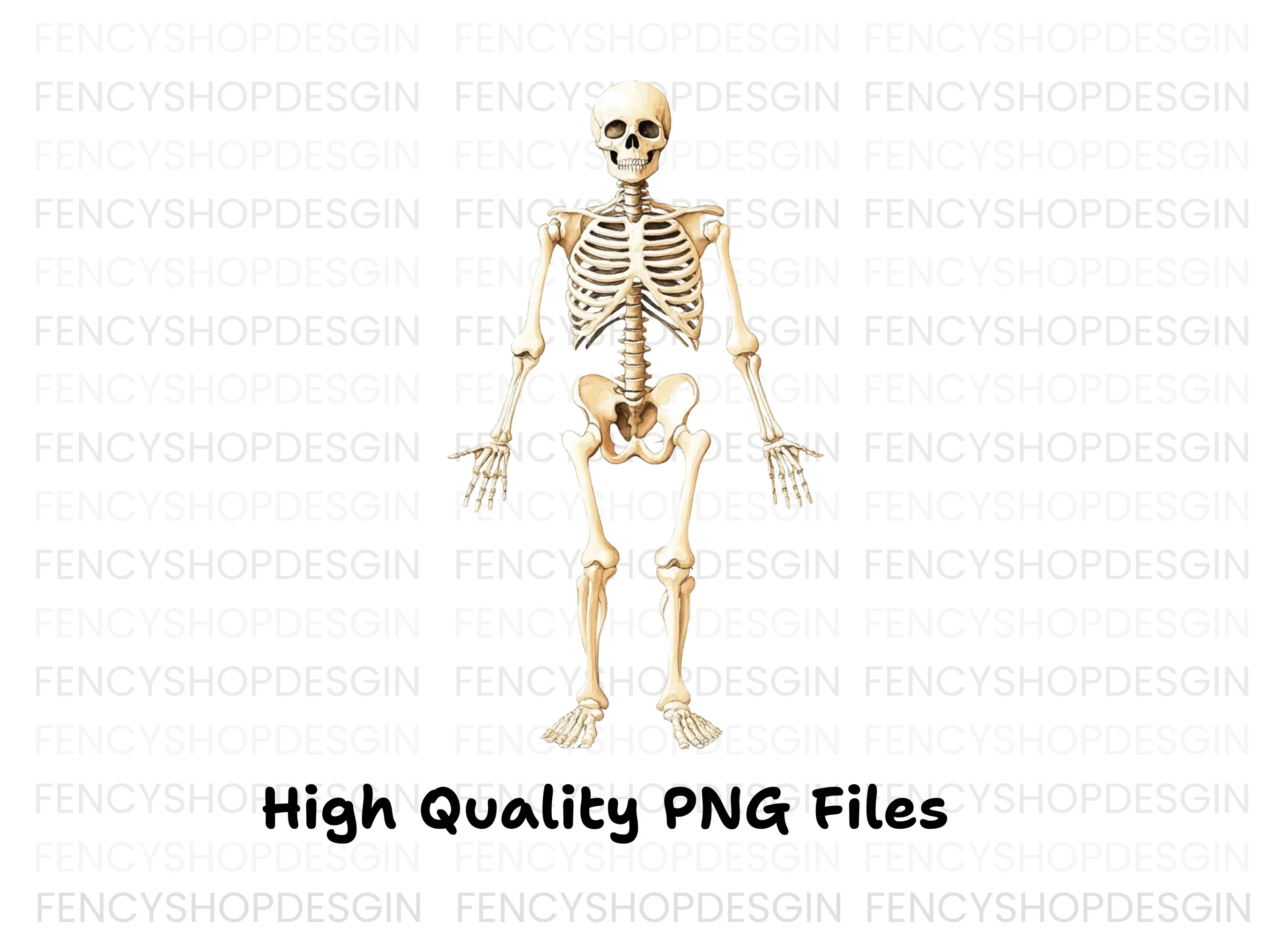 Human Skeleton Anatomy Clipart Bundle - Image 3
