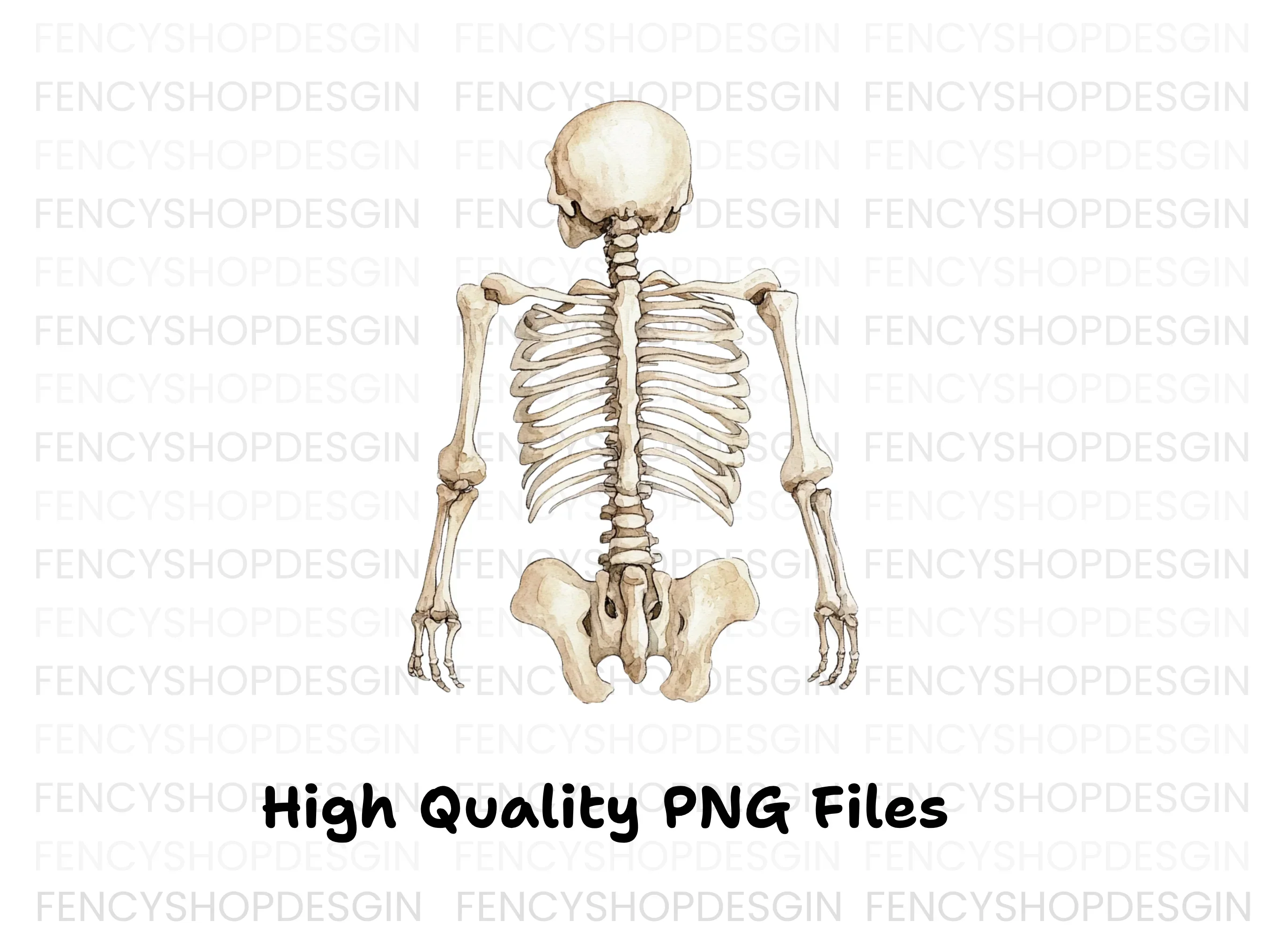 Human Skeleton Clipart Bundle - Image 3